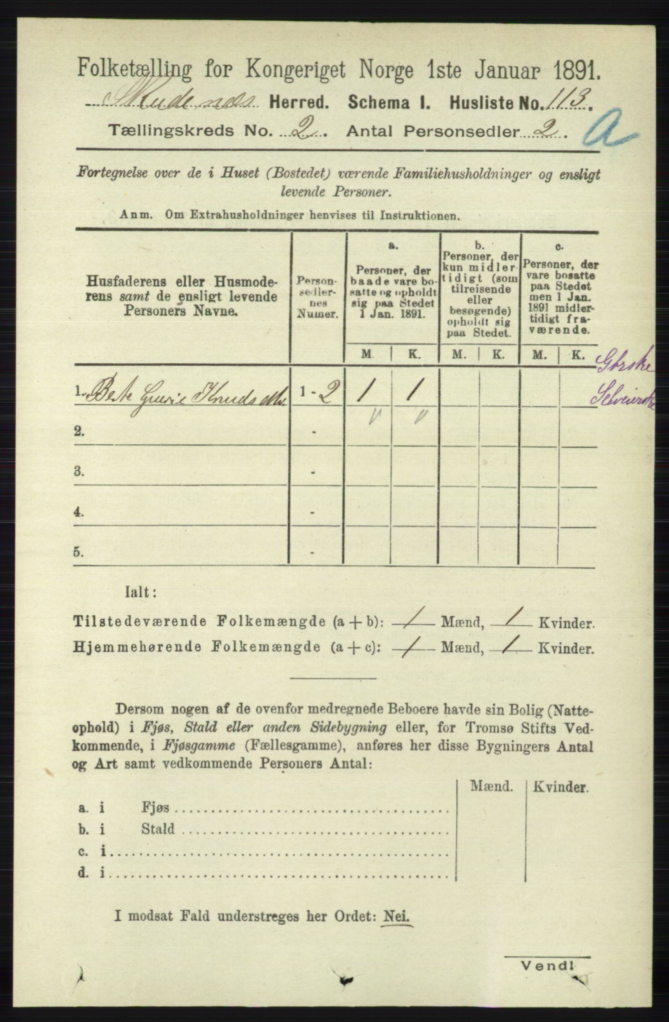 RA, 1891 census for 1150 Skudenes, 1891, p. 672