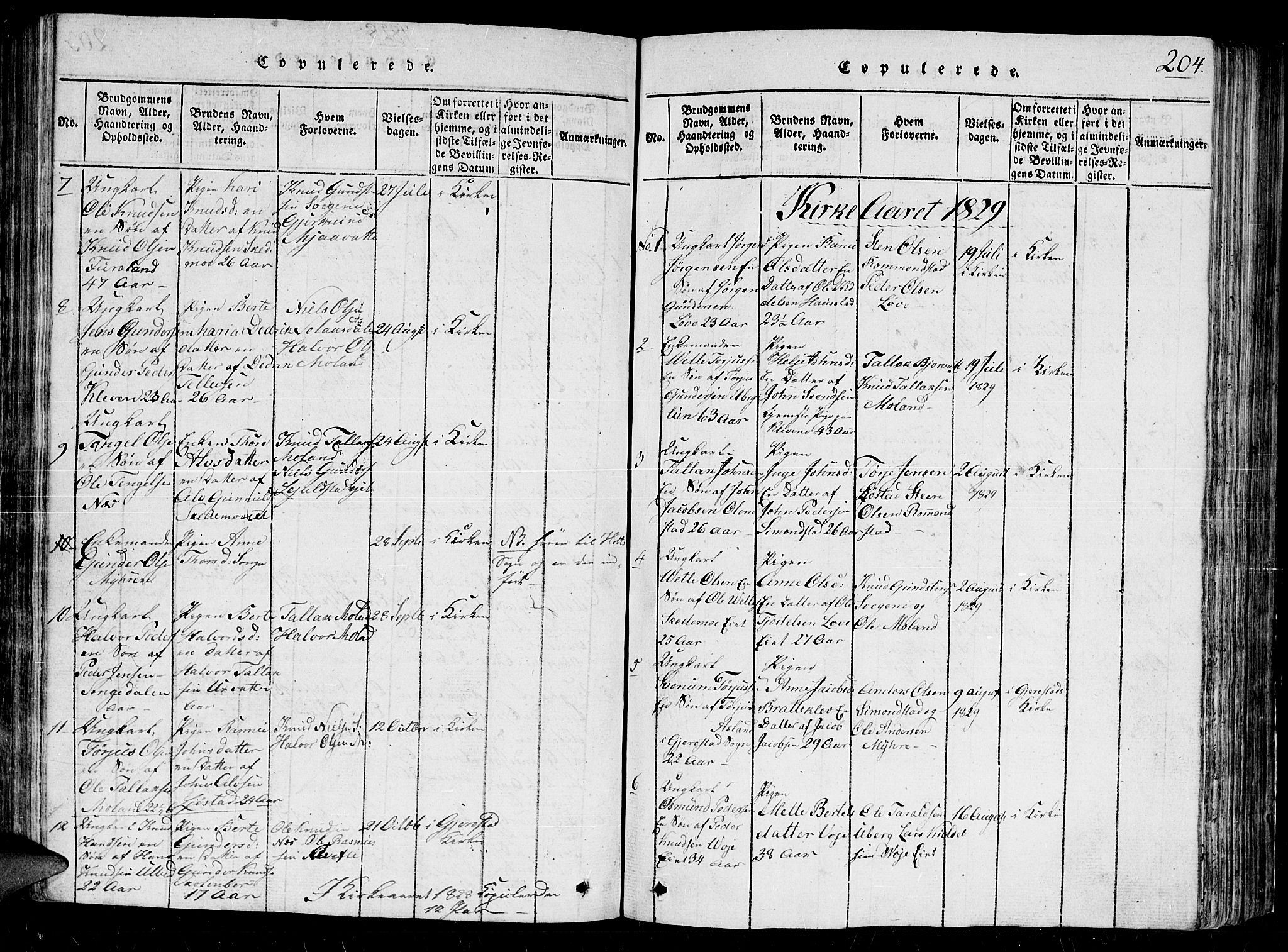 Gjerstad sokneprestkontor, SAK/1111-0014/F/Fb/Fbb/L0001: Parish register (copy) no. B 1, 1813-1863, p. 204