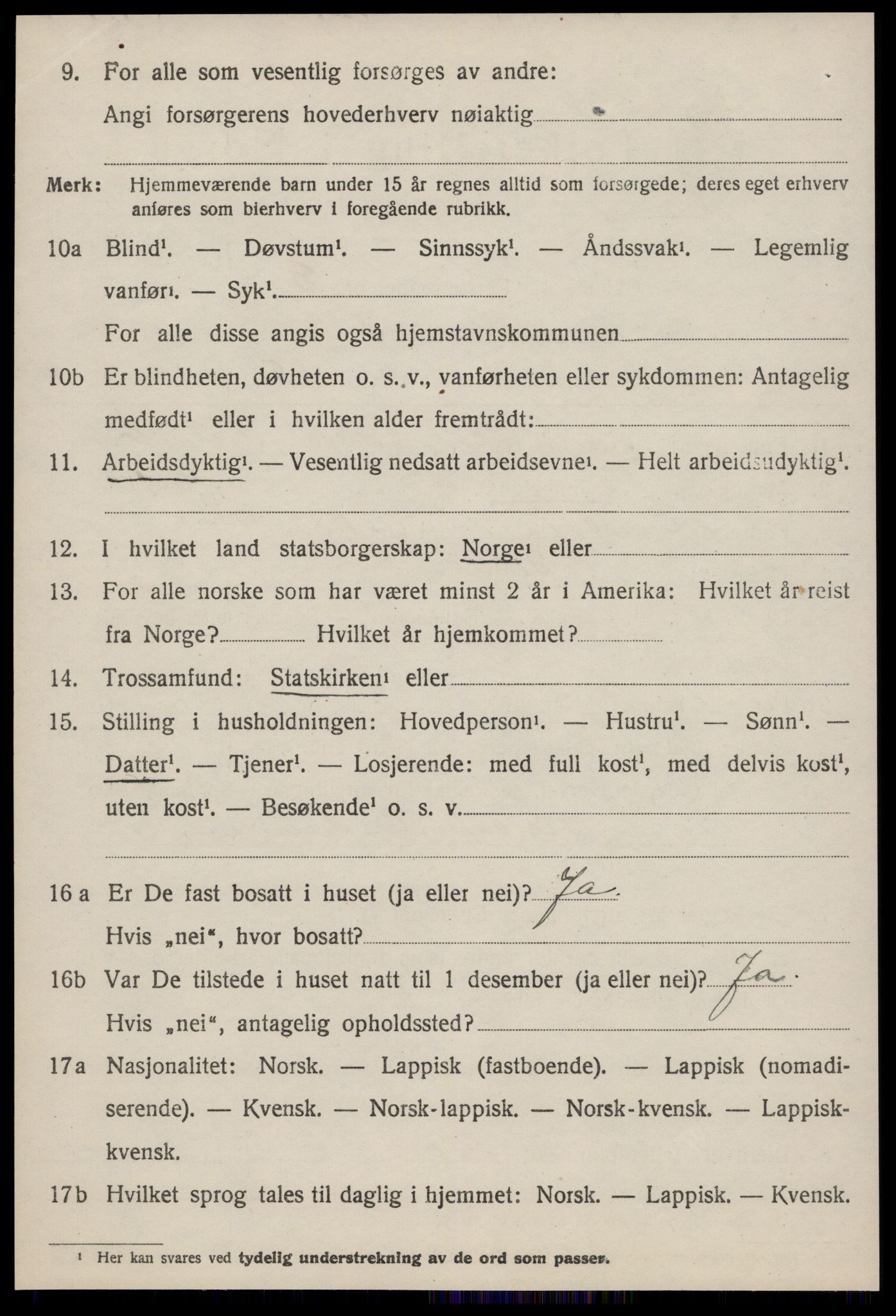 SAT, 1920 census for Selbu, 1920, p. 4419