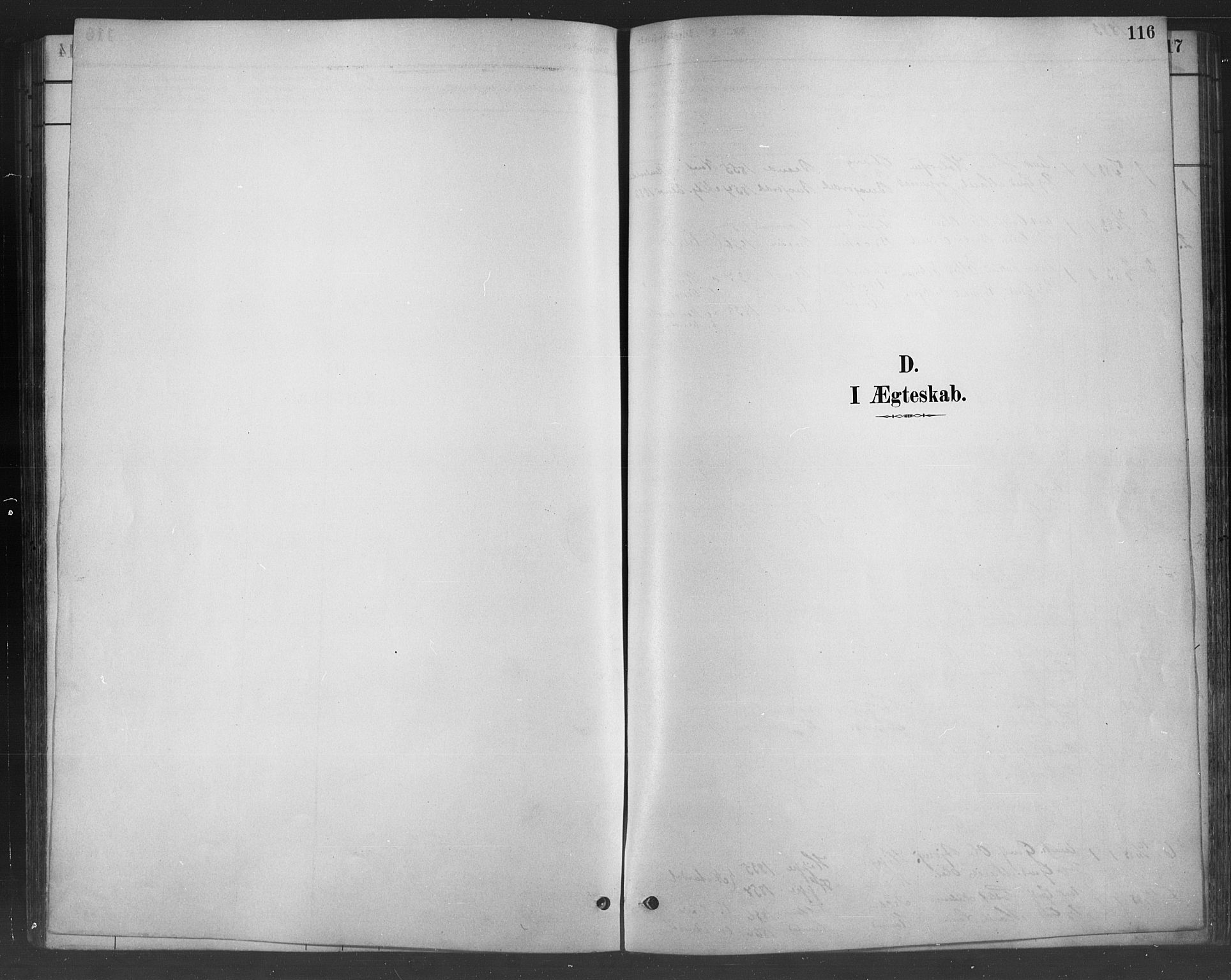Nord-Aurdal prestekontor, SAH/PREST-132/H/Ha/Hab/L0008: Parish register (copy) no. 8, 1883-1916, p. 116