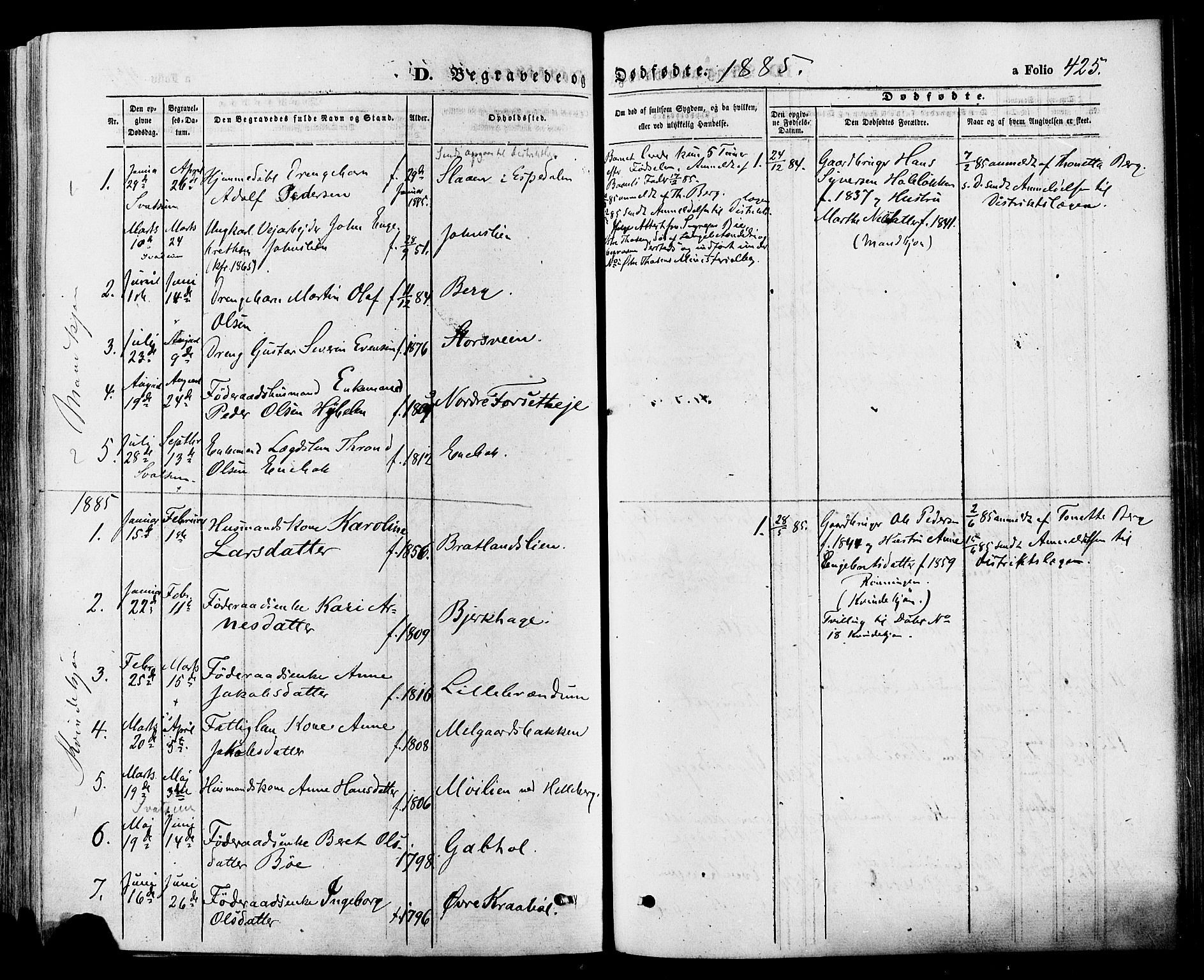 Gausdal prestekontor, SAH/PREST-090/H/Ha/Haa/L0010: Parish register (official) no. 10, 1867-1886, p. 425