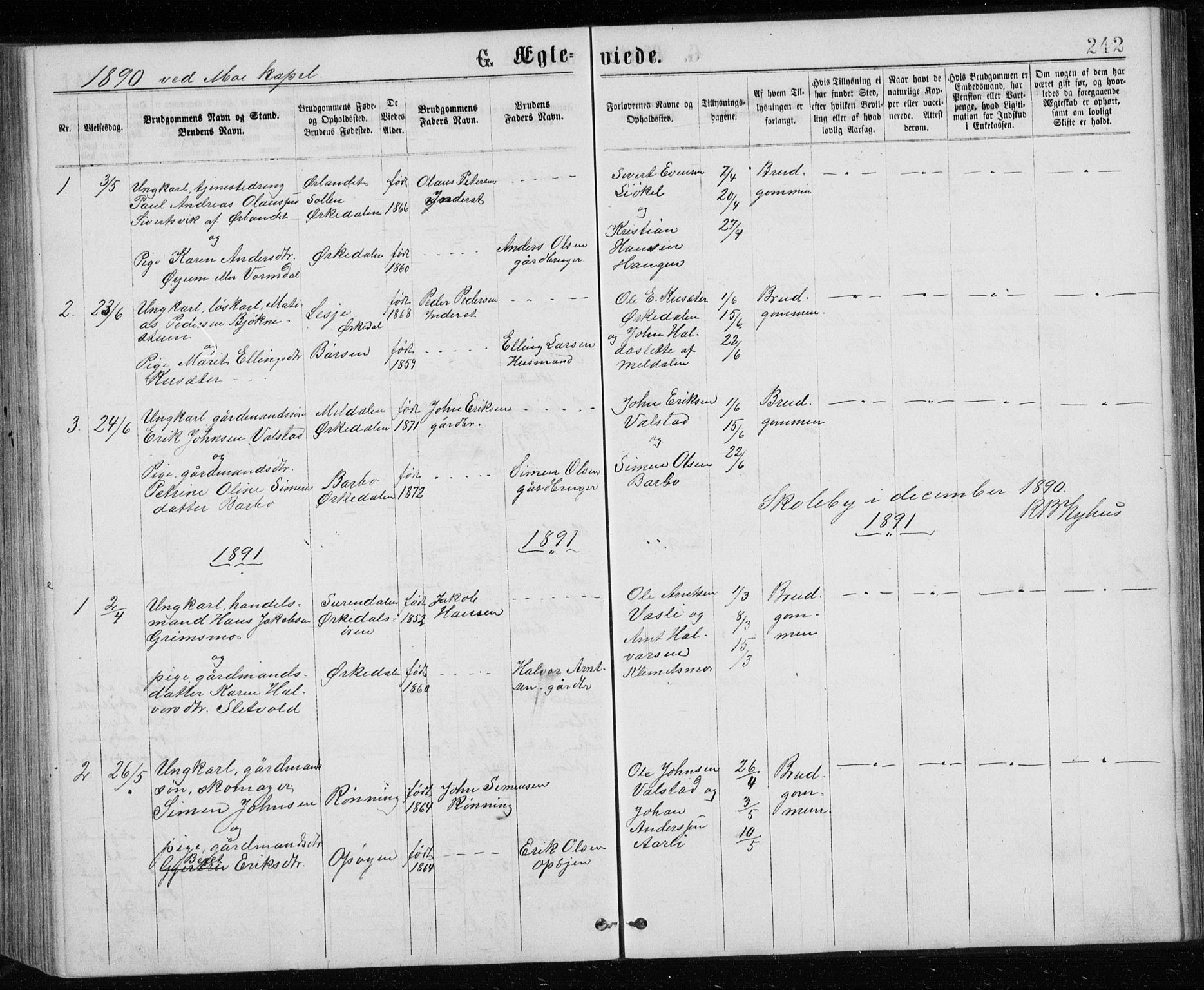 Ministerialprotokoller, klokkerbøker og fødselsregistre - Sør-Trøndelag, SAT/A-1456/671/L0843: Parish register (copy) no. 671C02, 1873-1892, p. 242