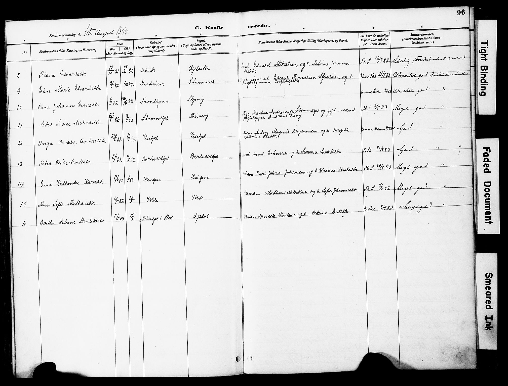 Ministerialprotokoller, klokkerbøker og fødselsregistre - Nord-Trøndelag, SAT/A-1458/741/L0396: Parish register (official) no. 741A10, 1889-1901, p. 96