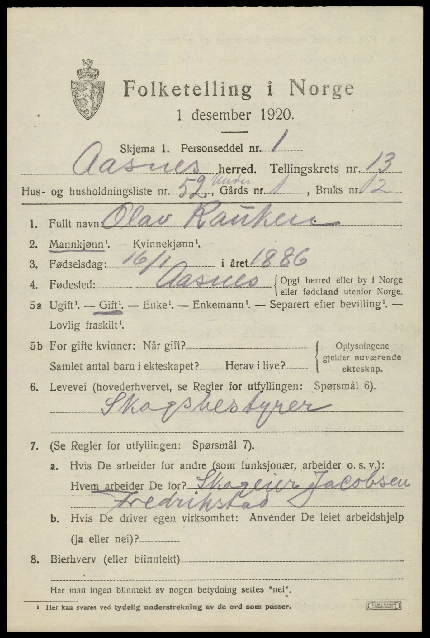 SAH, 1920 census for Åsnes, 1920, p. 13338