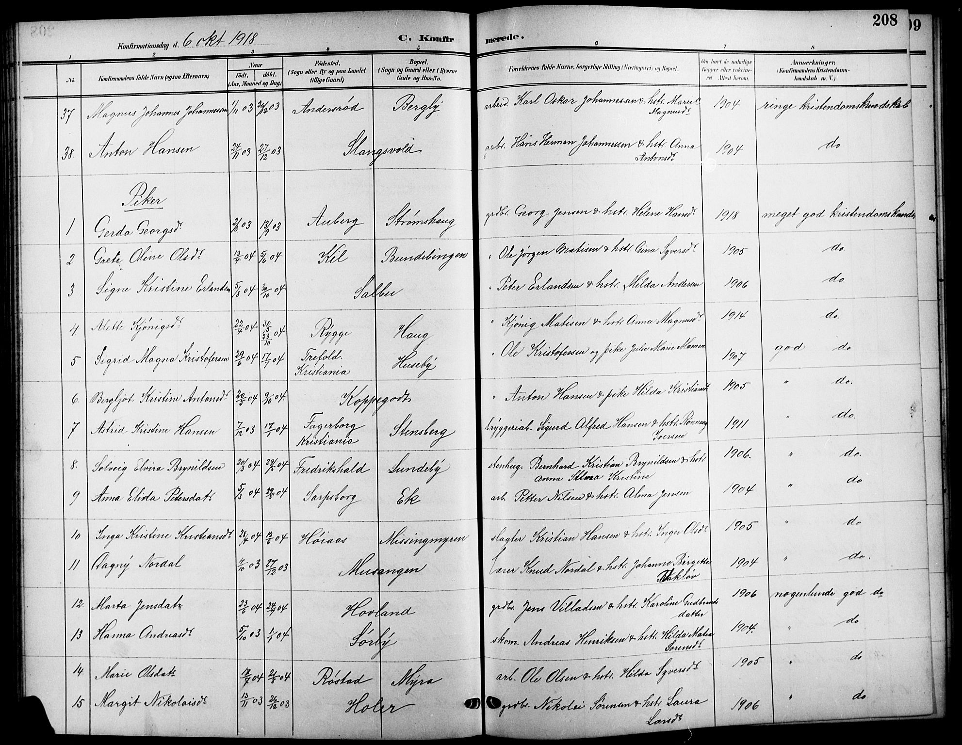 Råde prestekontor kirkebøker, AV/SAO-A-2009/G/Ga/L0001: Parish register (copy) no. 1, 1903-1925, p. 208