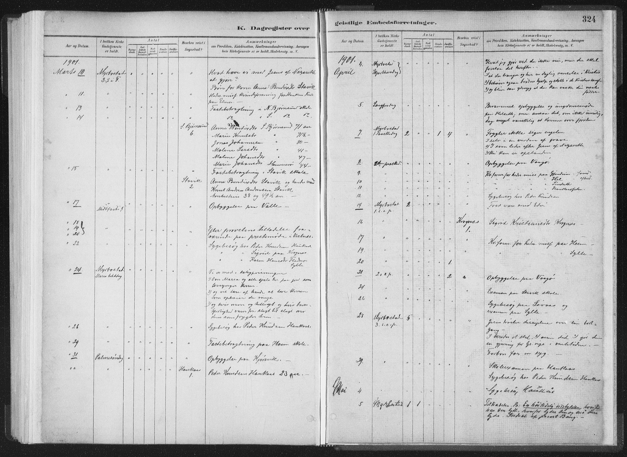 Ministerialprotokoller, klokkerbøker og fødselsregistre - Møre og Romsdal, AV/SAT-A-1454/564/L0740: Parish register (official) no. 564A01, 1880-1899, p. 324