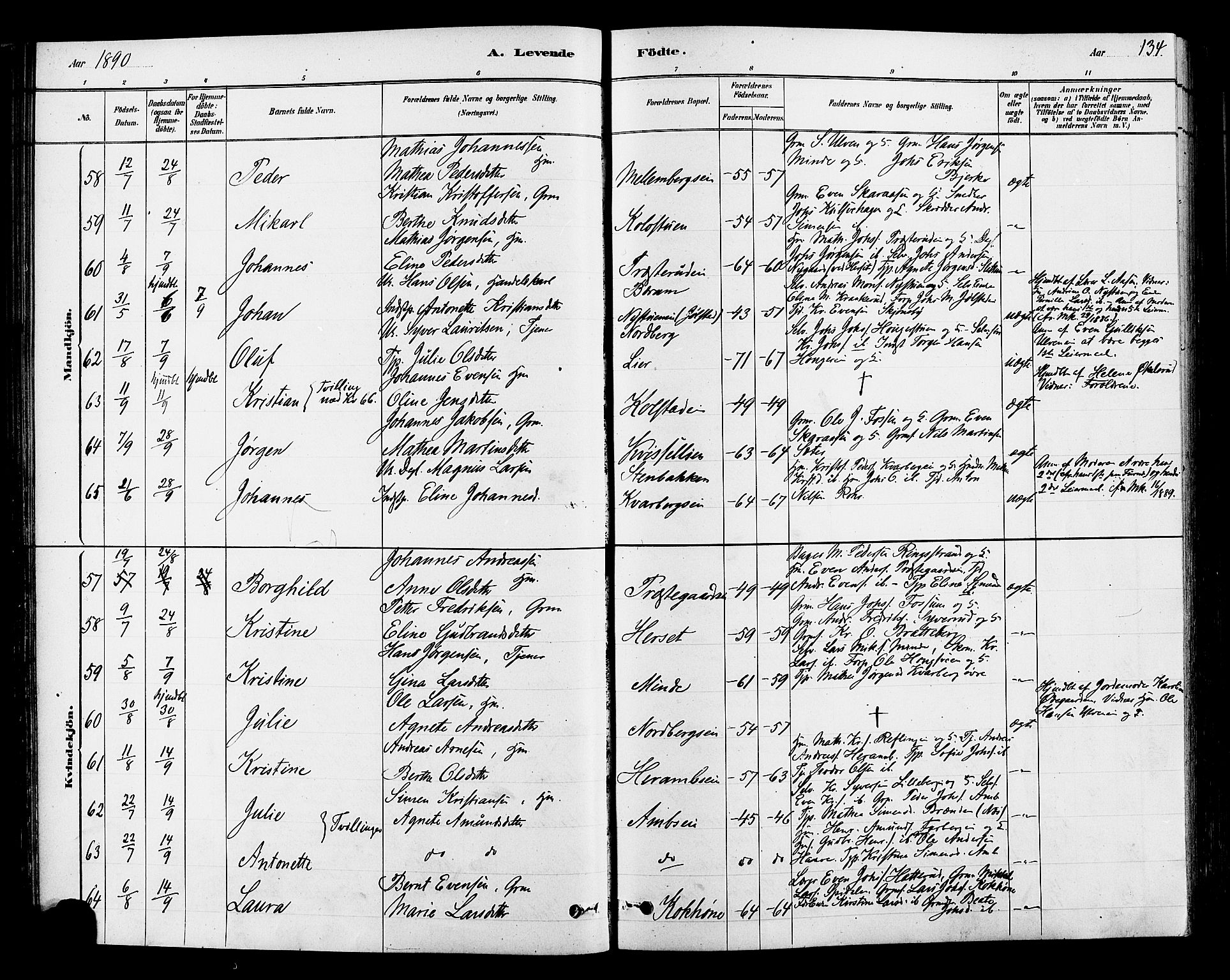 Ringsaker prestekontor, AV/SAH-PREST-014/L/La/L0009: Parish register (copy) no. 9, 1879-1890, p. 134