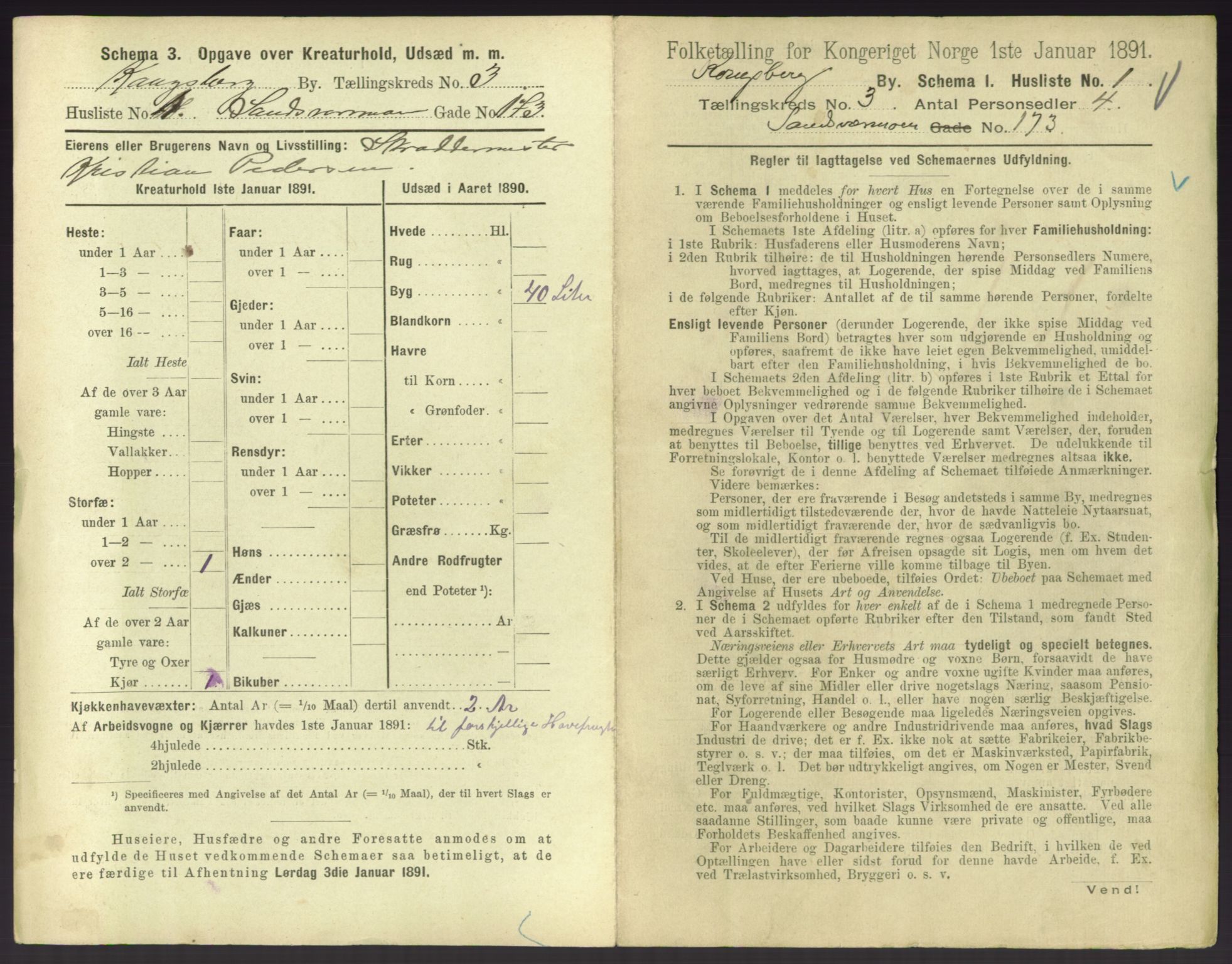 RA, 1891 census for 0604 Kongsberg, 1891, p. 355