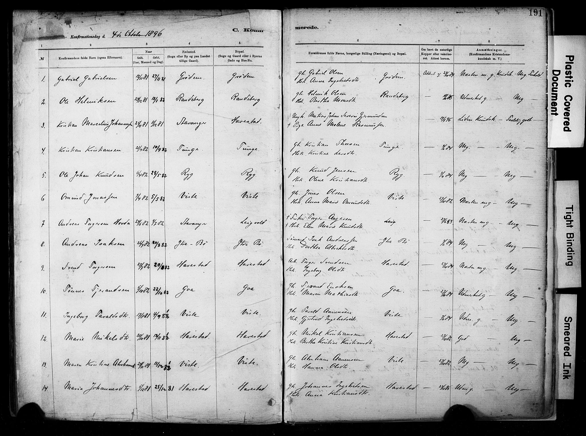 Hetland sokneprestkontor, SAST/A-101826/30/30BA/L0009: Parish register (official) no. A 9, 1882-1918, p. 191