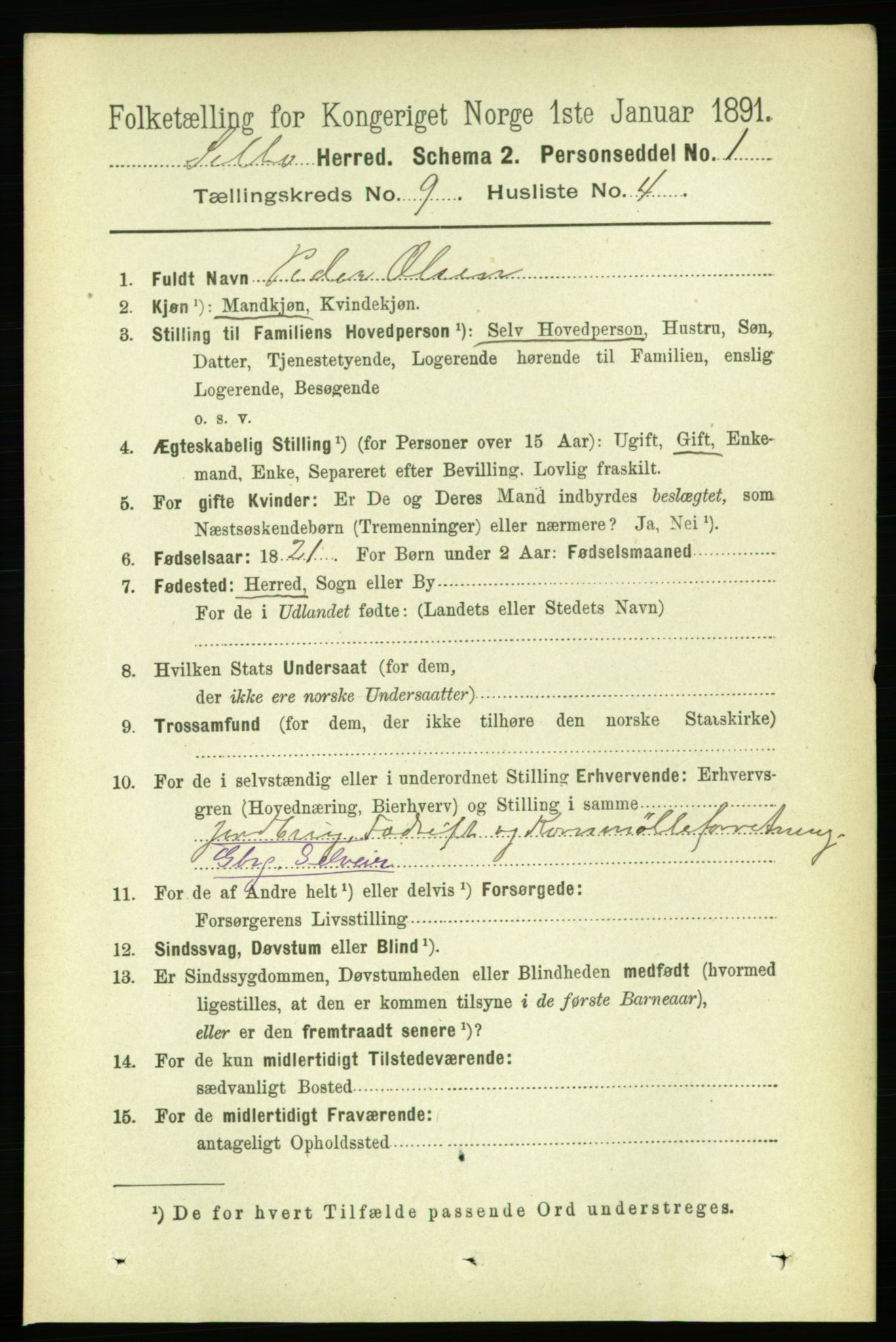 RA, 1891 census for 1664 Selbu, 1891, p. 3357