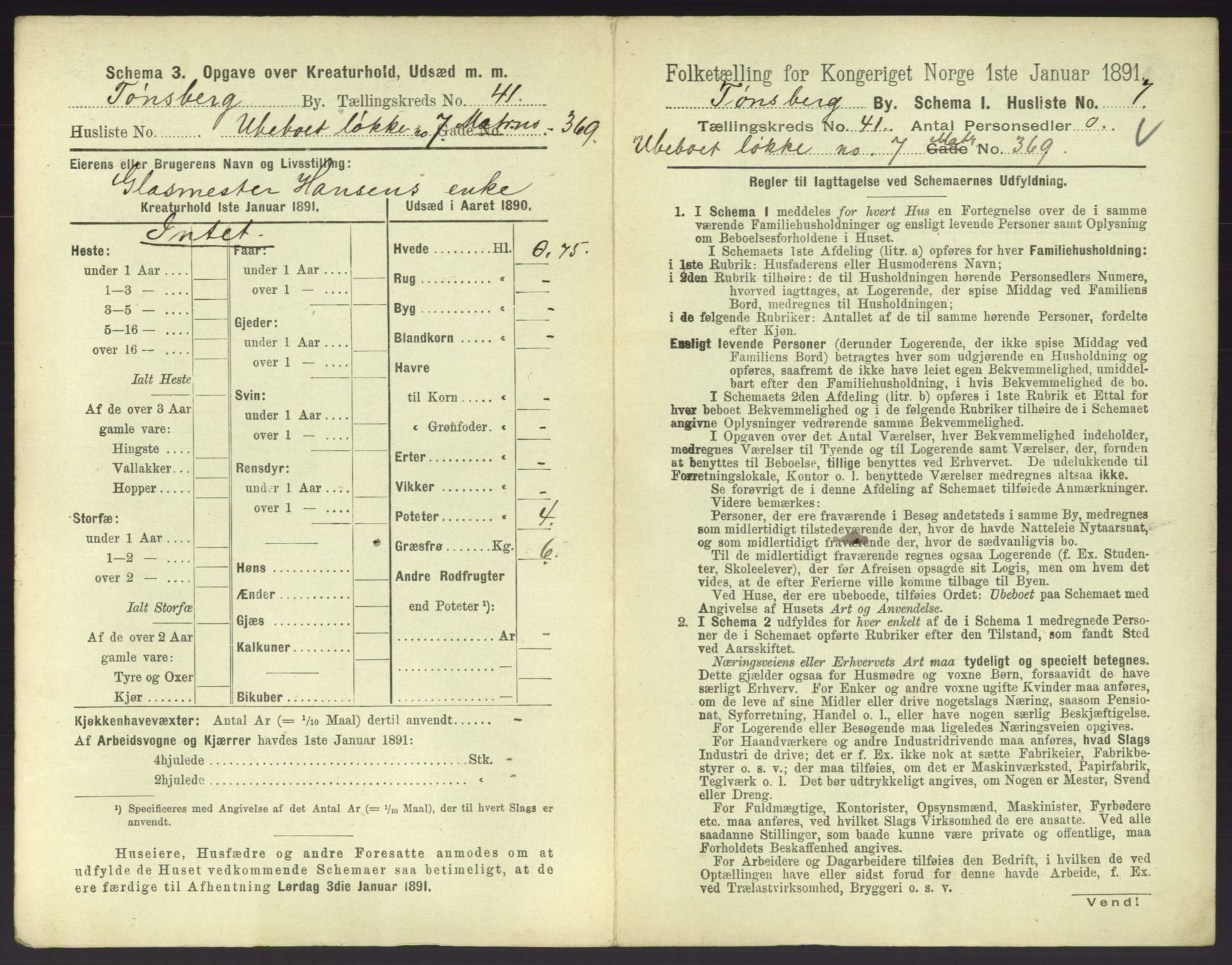 RA, 1891 census for 0705 Tønsberg, 1891, p. 1160