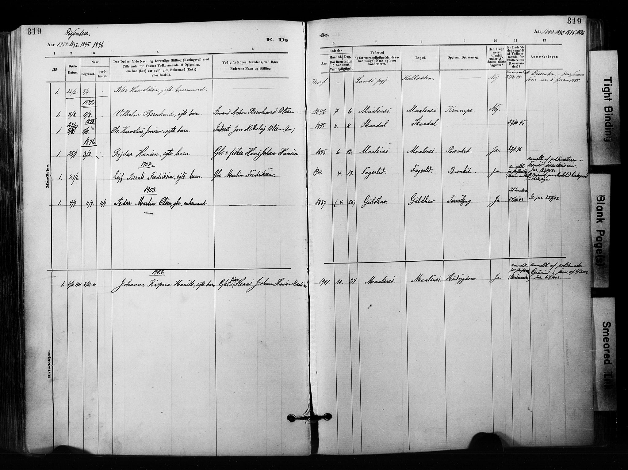 Målselv sokneprestembete, SATØ/S-1311/G/Ga/Gaa/L0007kirke: Parish register (official) no. 7, 1884-1903, p. 319