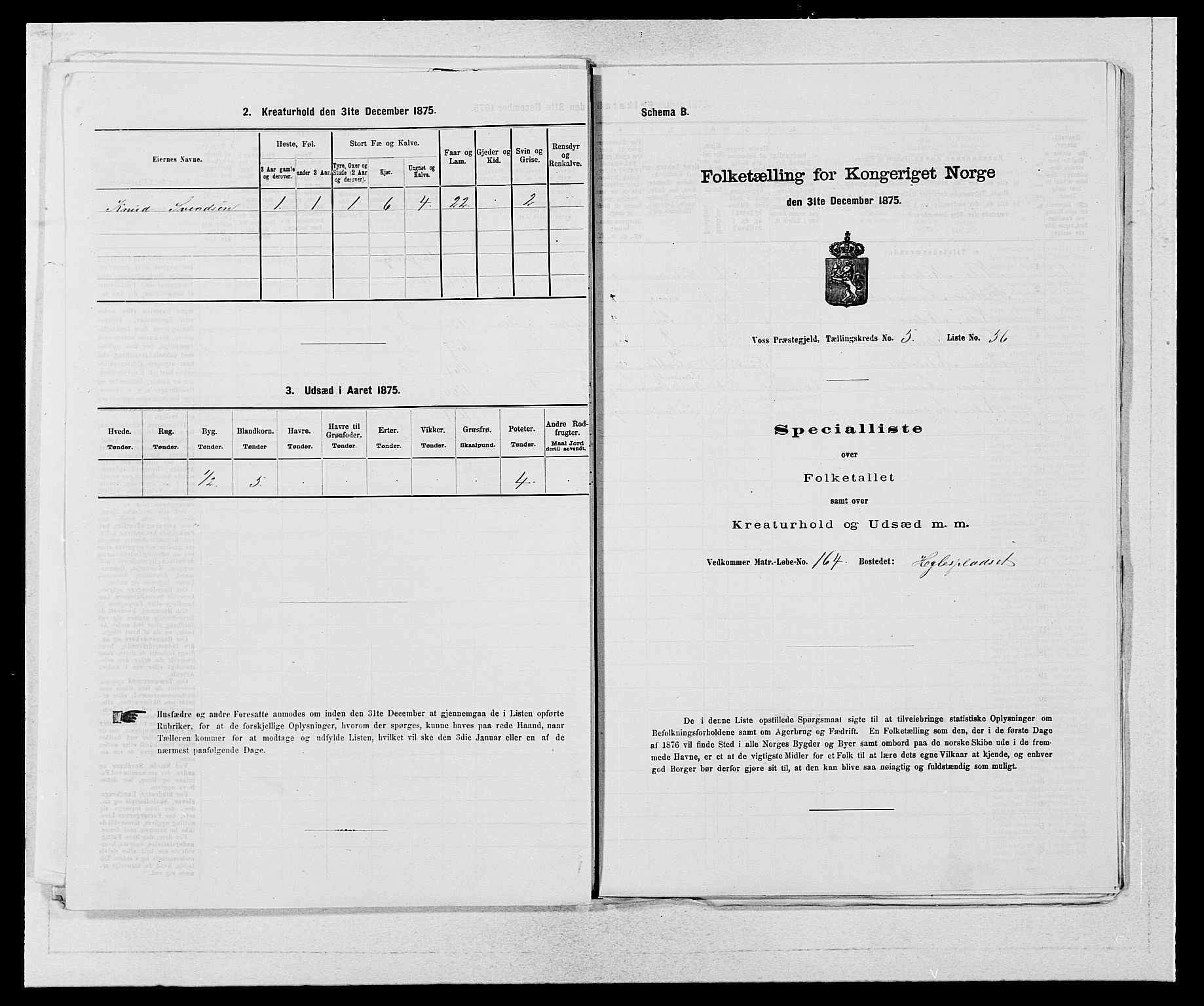 SAB, 1875 census for 1235P Voss, 1875, p. 691