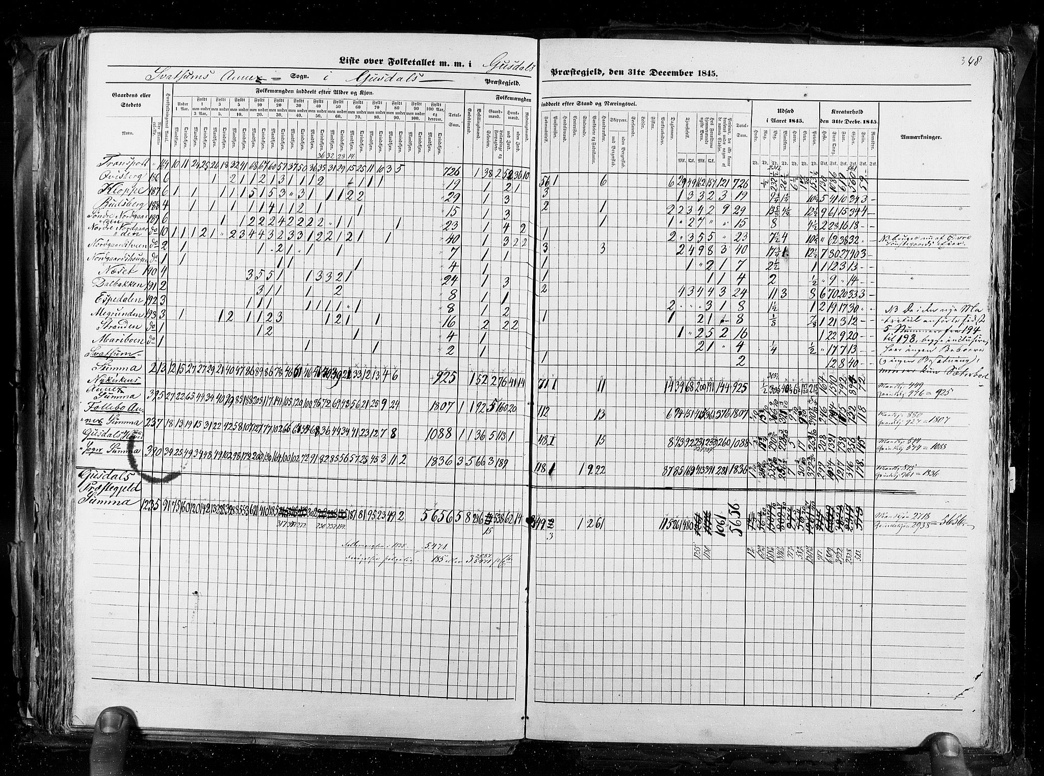 RA, Census 1845, vol. 3: Hedemarken amt og Kristians amt, 1845, p. 348