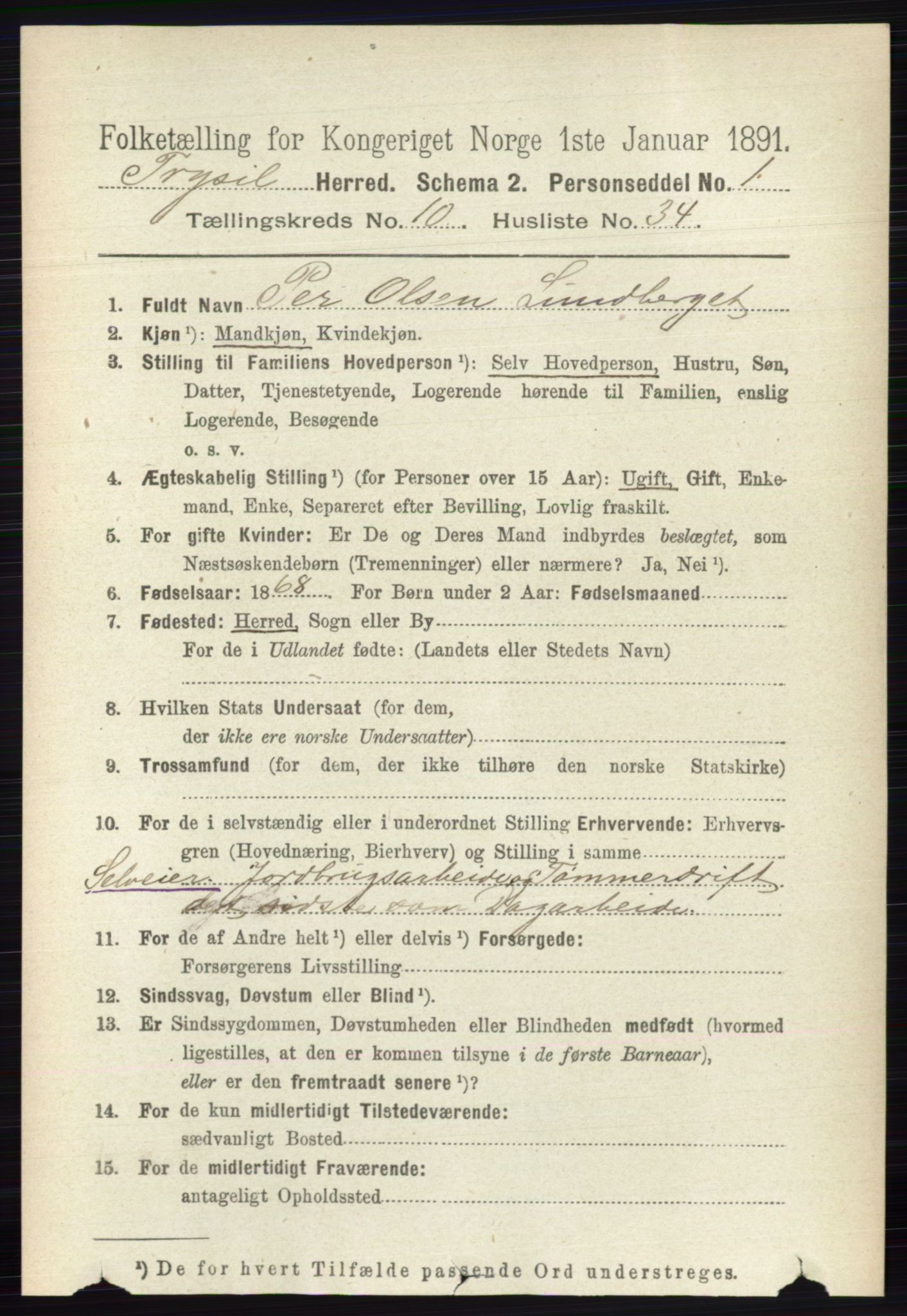 RA, 1891 census for 0428 Trysil, 1891, p. 5106