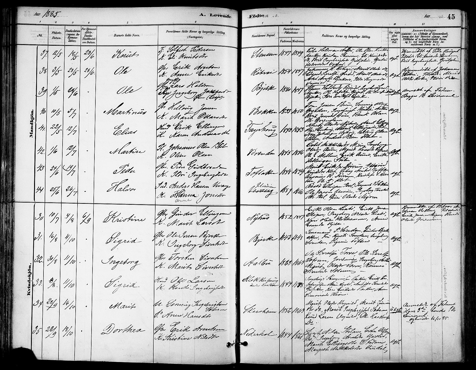 Ministerialprotokoller, klokkerbøker og fødselsregistre - Sør-Trøndelag, AV/SAT-A-1456/678/L0901: Parish register (official) no. 678A10, 1881-1894, p. 45