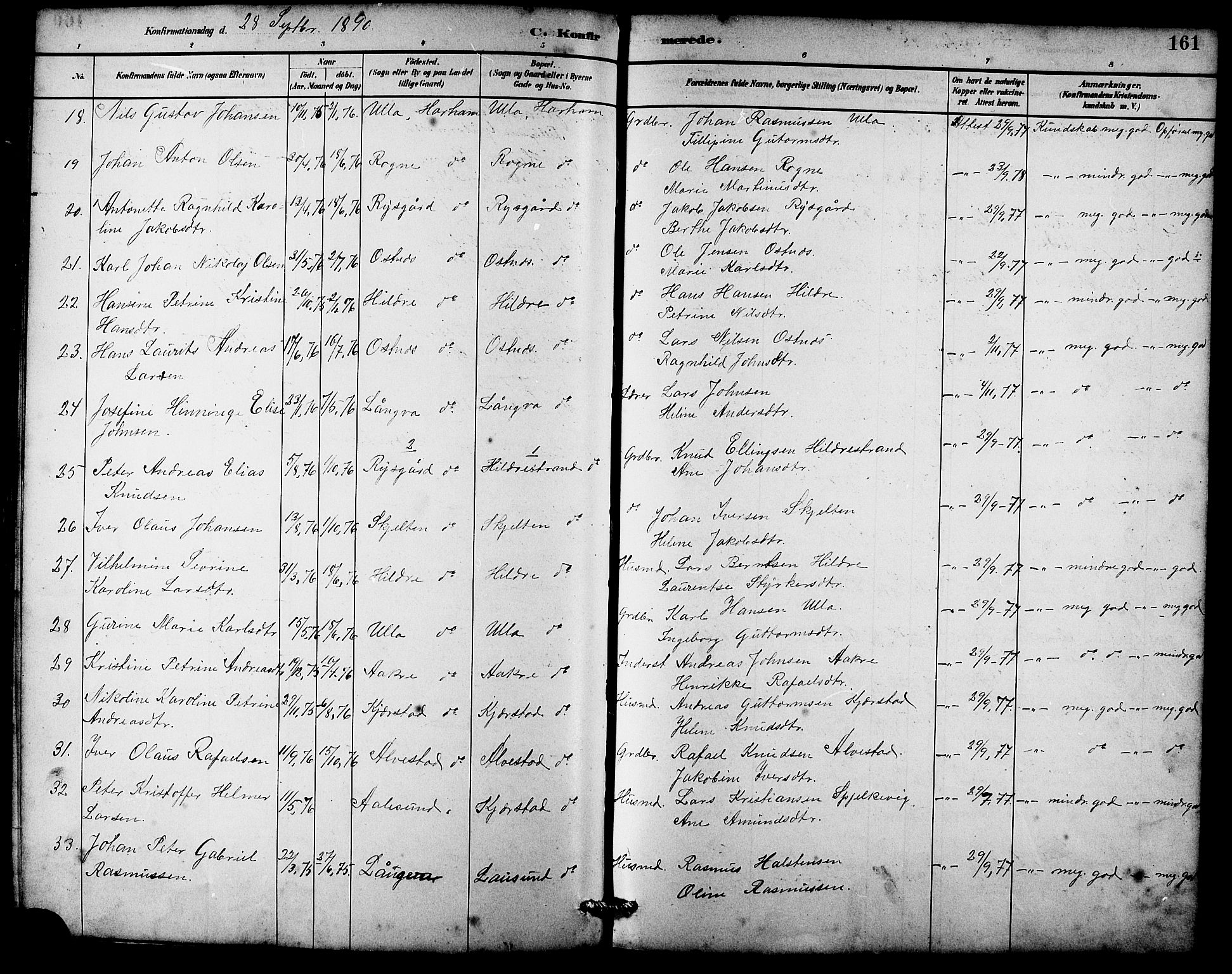 Ministerialprotokoller, klokkerbøker og fødselsregistre - Møre og Romsdal, AV/SAT-A-1454/536/L0510: Parish register (copy) no. 536C05, 1881-1898, p. 161