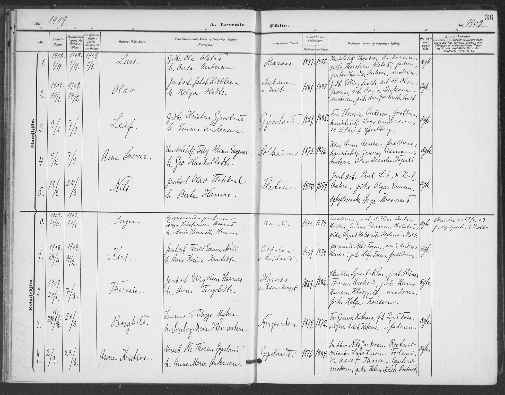 Åmli sokneprestkontor, AV/SAK-1111-0050/F/Fa/Fac/L0012: Parish register (official) no. A 12, 1900-1914, p. 36