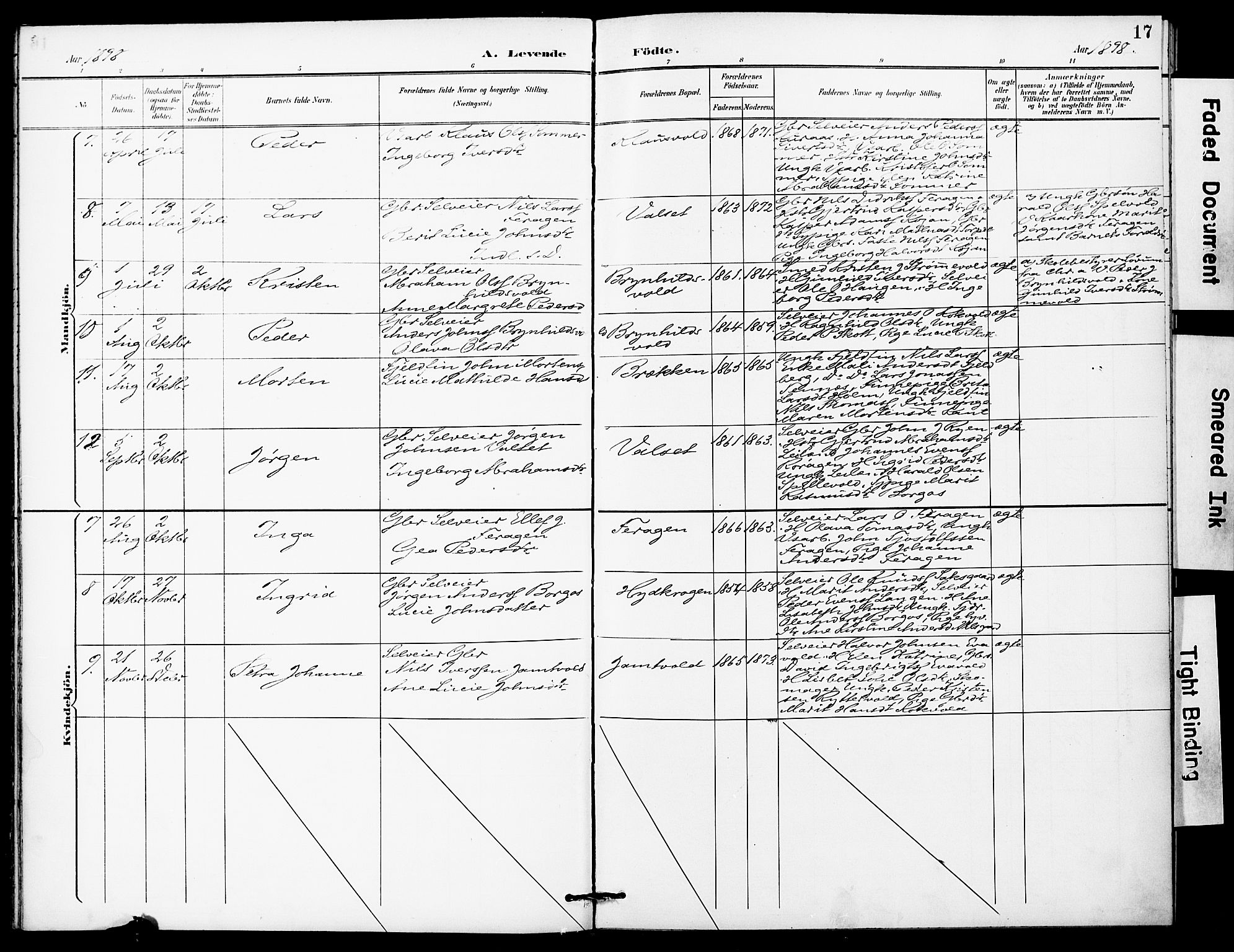 Ministerialprotokoller, klokkerbøker og fødselsregistre - Sør-Trøndelag, SAT/A-1456/683/L0948: Parish register (official) no. 683A01, 1891-1902, p. 17