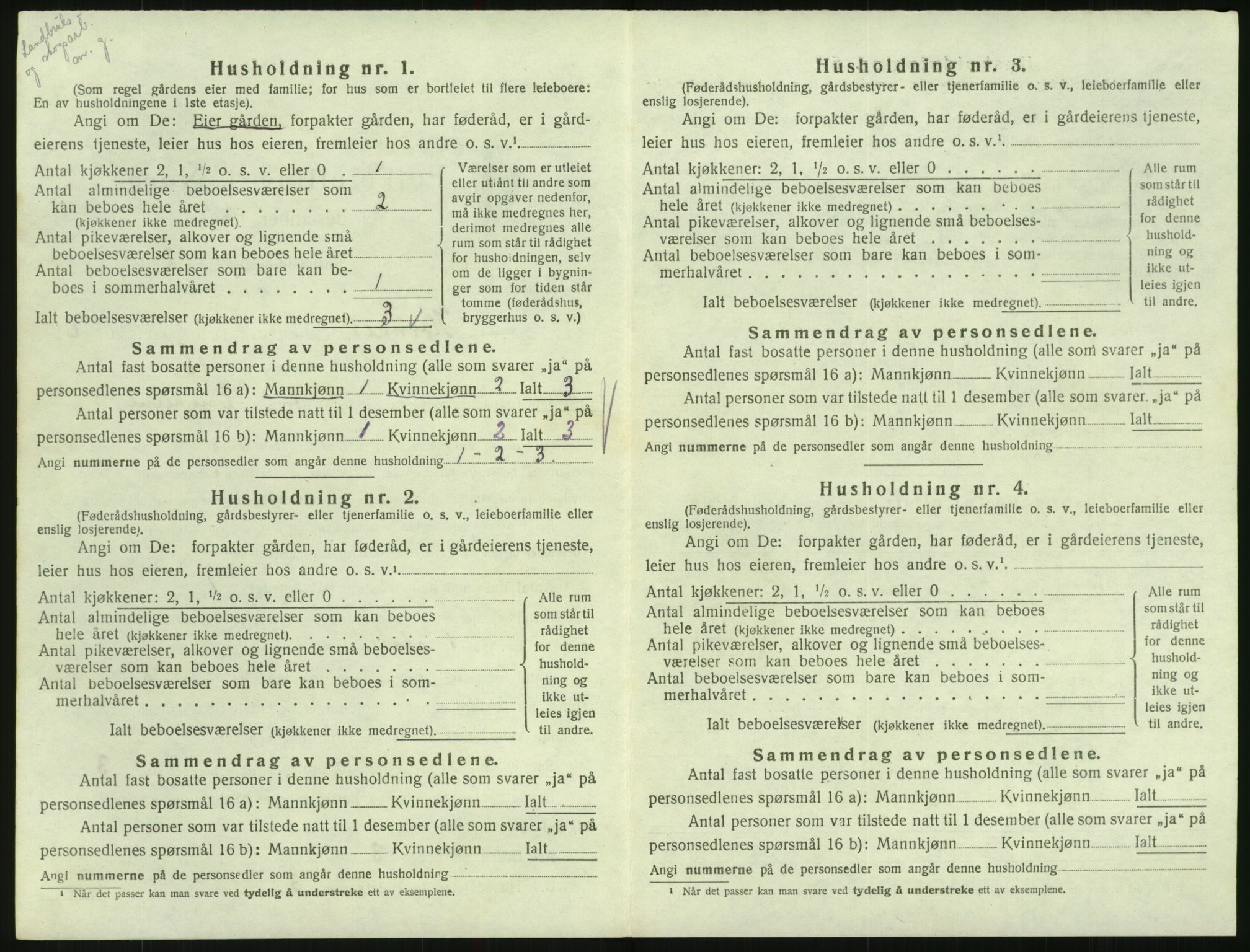 SAK, 1920 census for Hornnes, 1920, p. 248