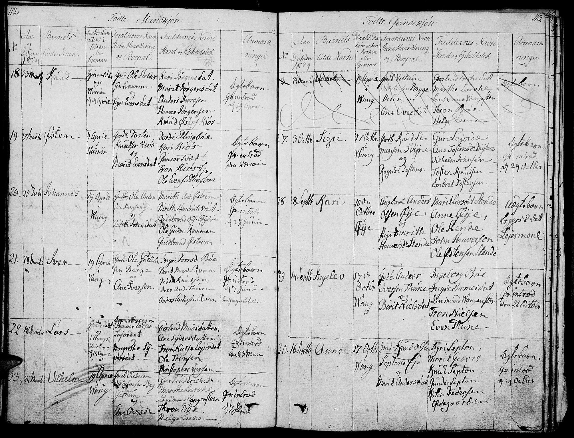Vang prestekontor, Valdres, SAH/PREST-140/H/Ha/L0003: Parish register (official) no. 3, 1809-1831, p. 112-113