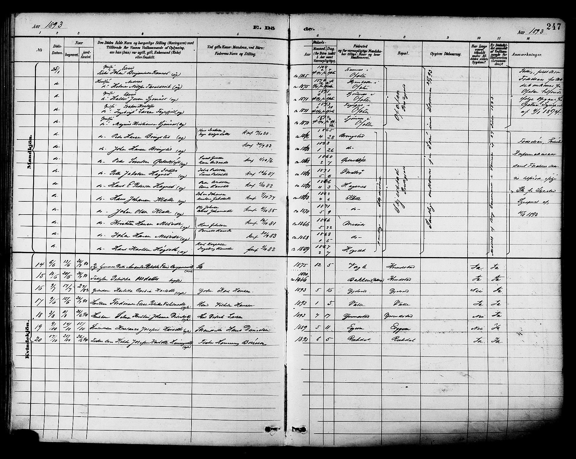 Ministerialprotokoller, klokkerbøker og fødselsregistre - Nordland, AV/SAT-A-1459/880/L1133: Parish register (official) no. 880A07, 1888-1898, p. 247