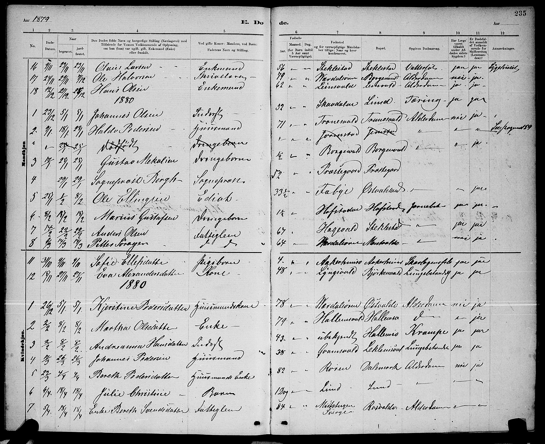 Ministerialprotokoller, klokkerbøker og fødselsregistre - Nord-Trøndelag, SAT/A-1458/723/L0256: Parish register (copy) no. 723C04, 1879-1890, p. 235