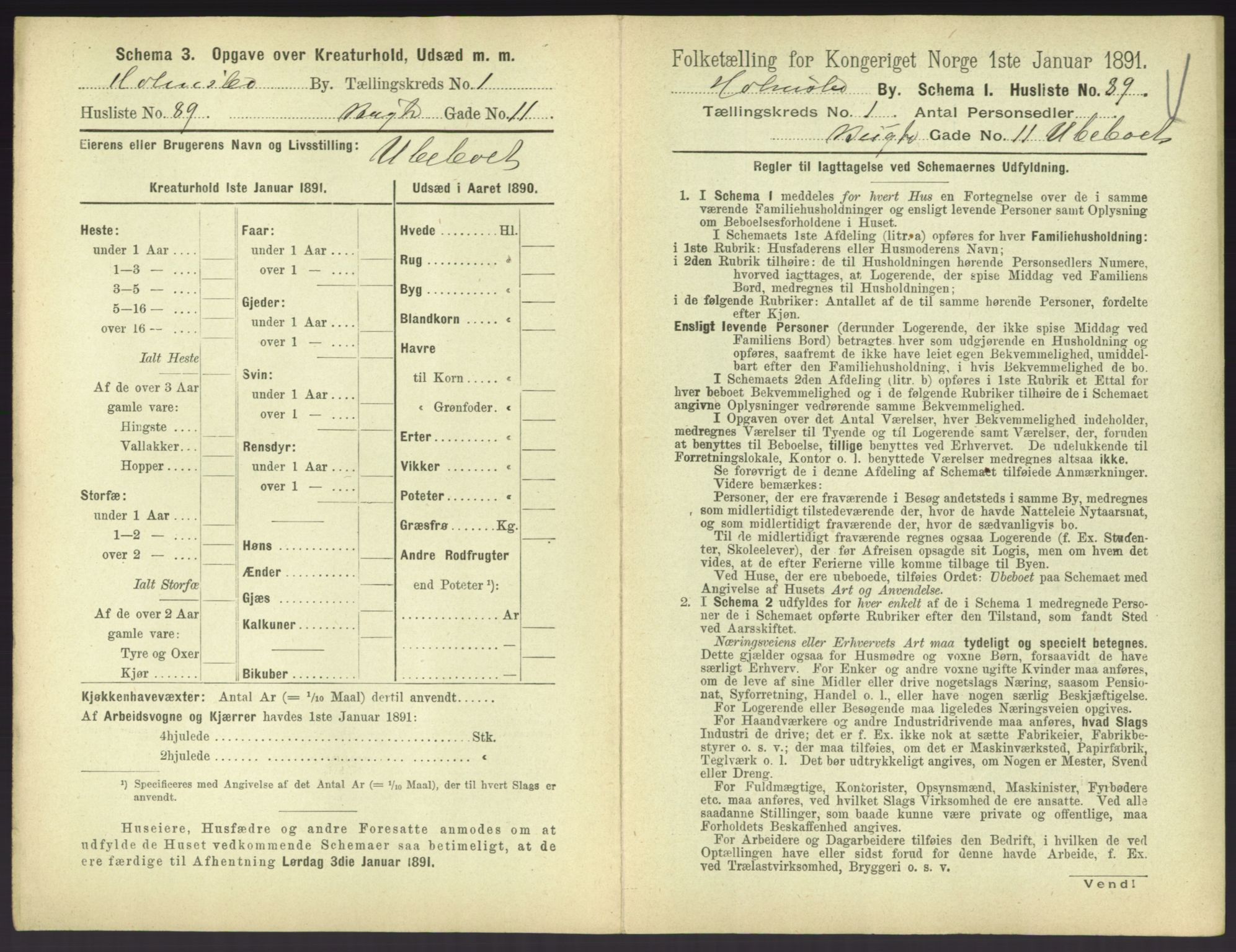 RA, 1891 census for 0603 Holmsbu, 1891, p. 191