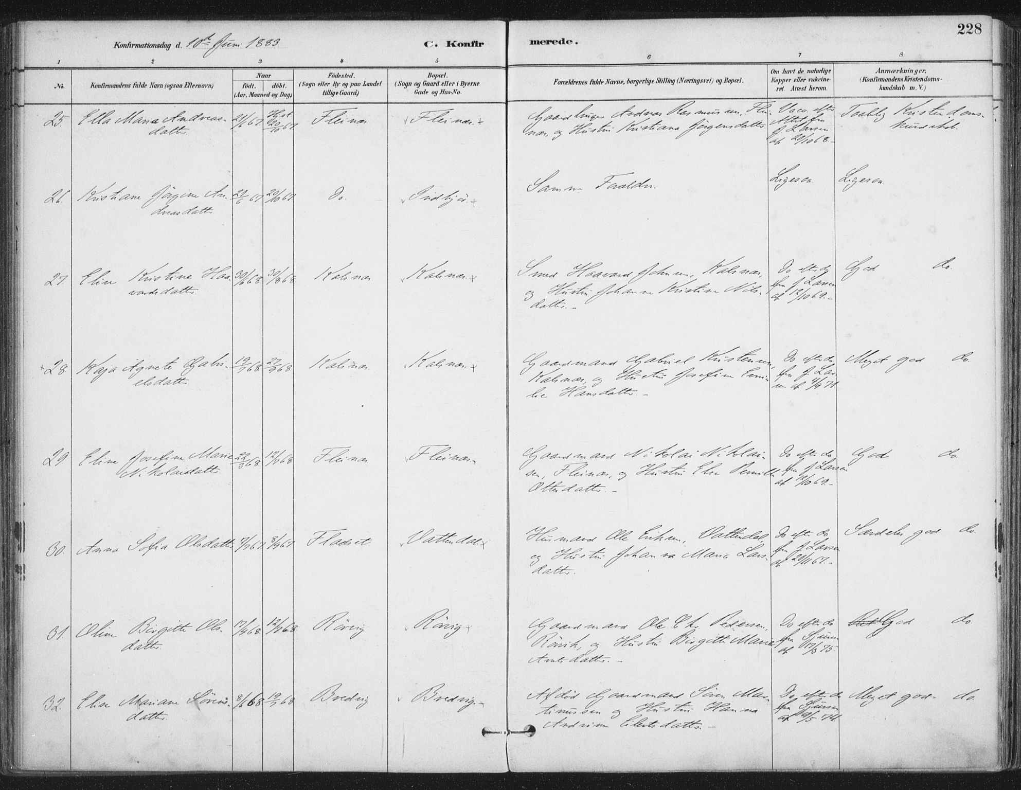 Ministerialprotokoller, klokkerbøker og fødselsregistre - Nordland, AV/SAT-A-1459/888/L1244: Parish register (official) no. 888A10, 1880-1890, p. 228