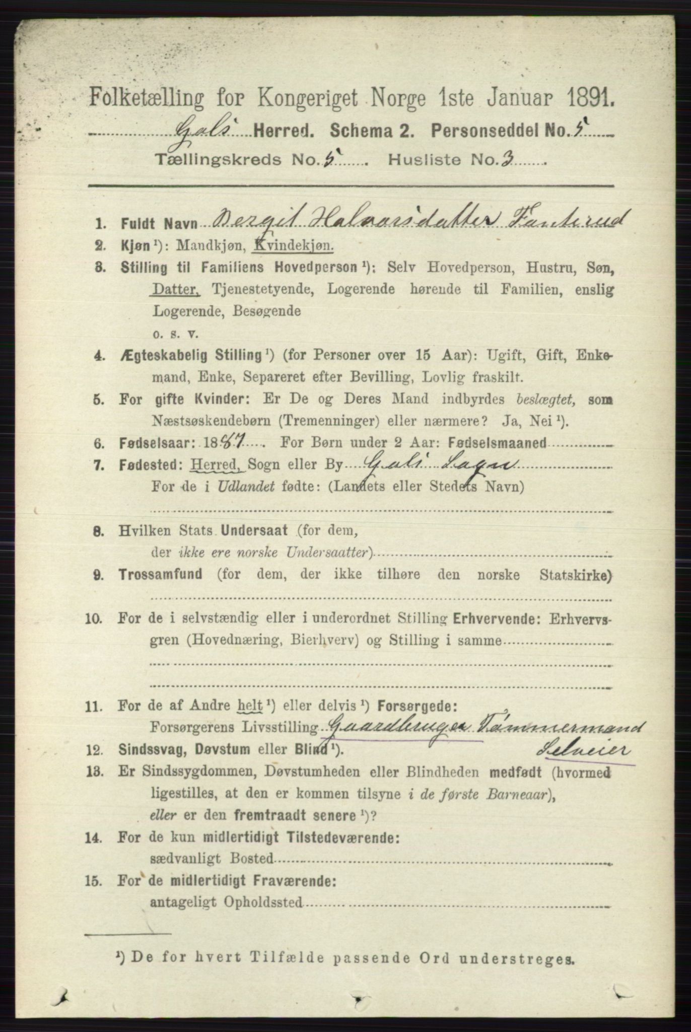 RA, 1891 census for 0617 Gol og Hemsedal, 1891, p. 2321