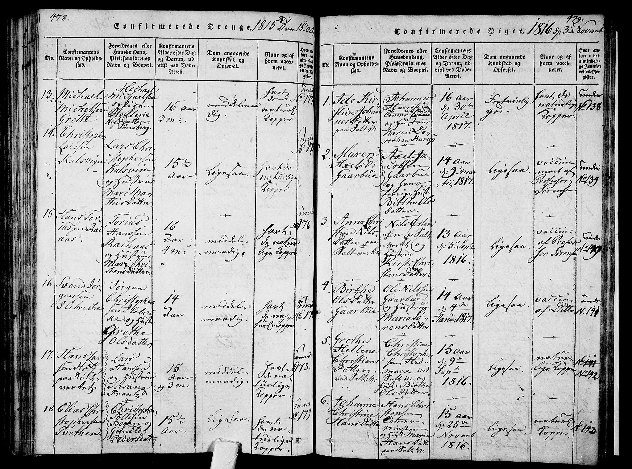 Sem kirkebøker, SAKO/A-5/F/Fa/L0004: Parish register (official) no. I 4, 1814-1825, p. 478-479