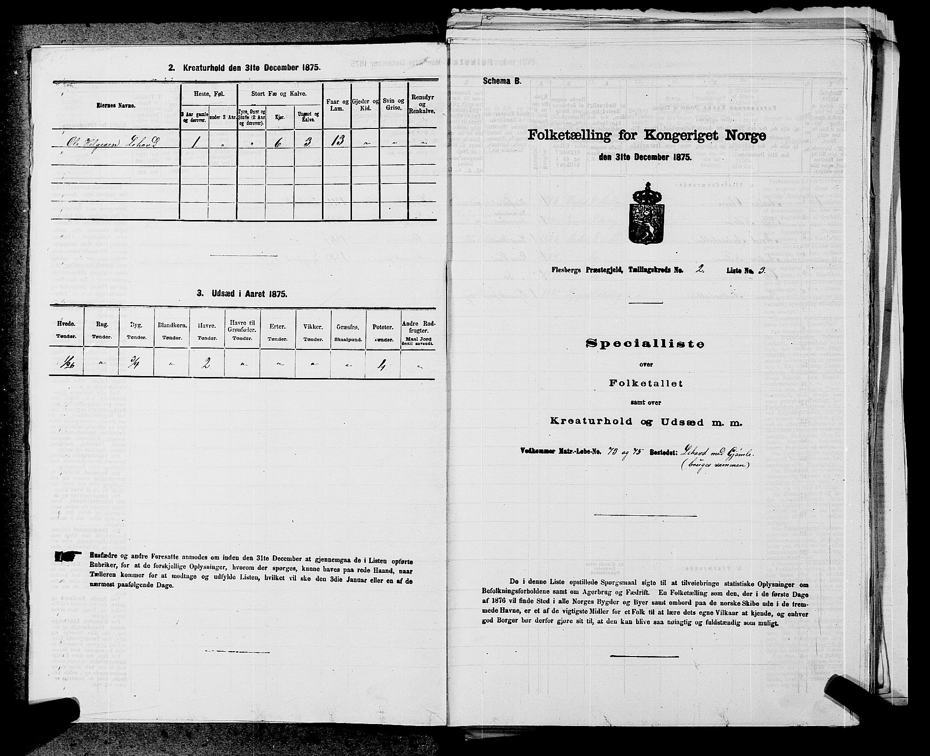 SAKO, 1875 census for 0631P Flesberg, 1875, p. 283