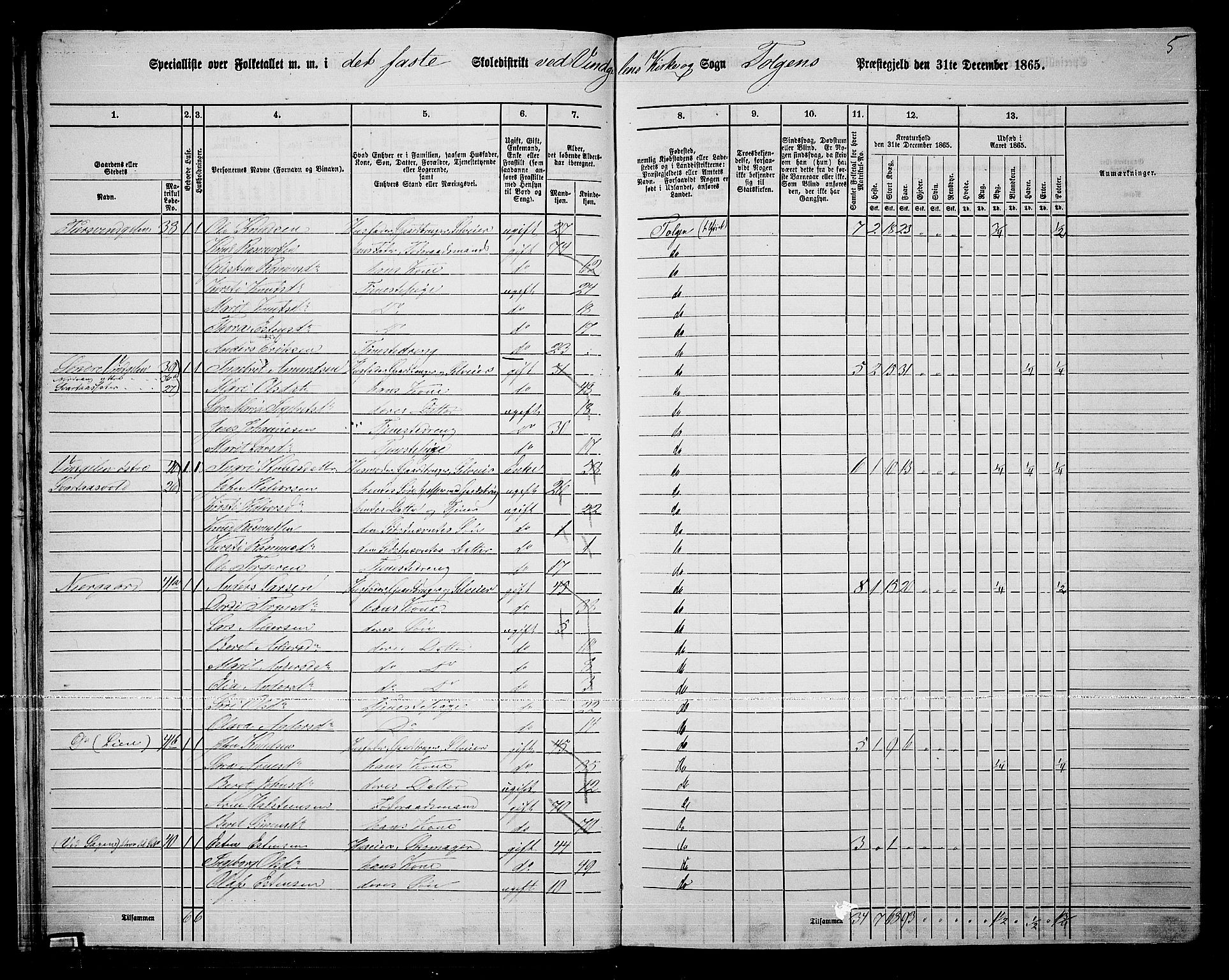 RA, 1865 census for Tolga, 1865, p. 29