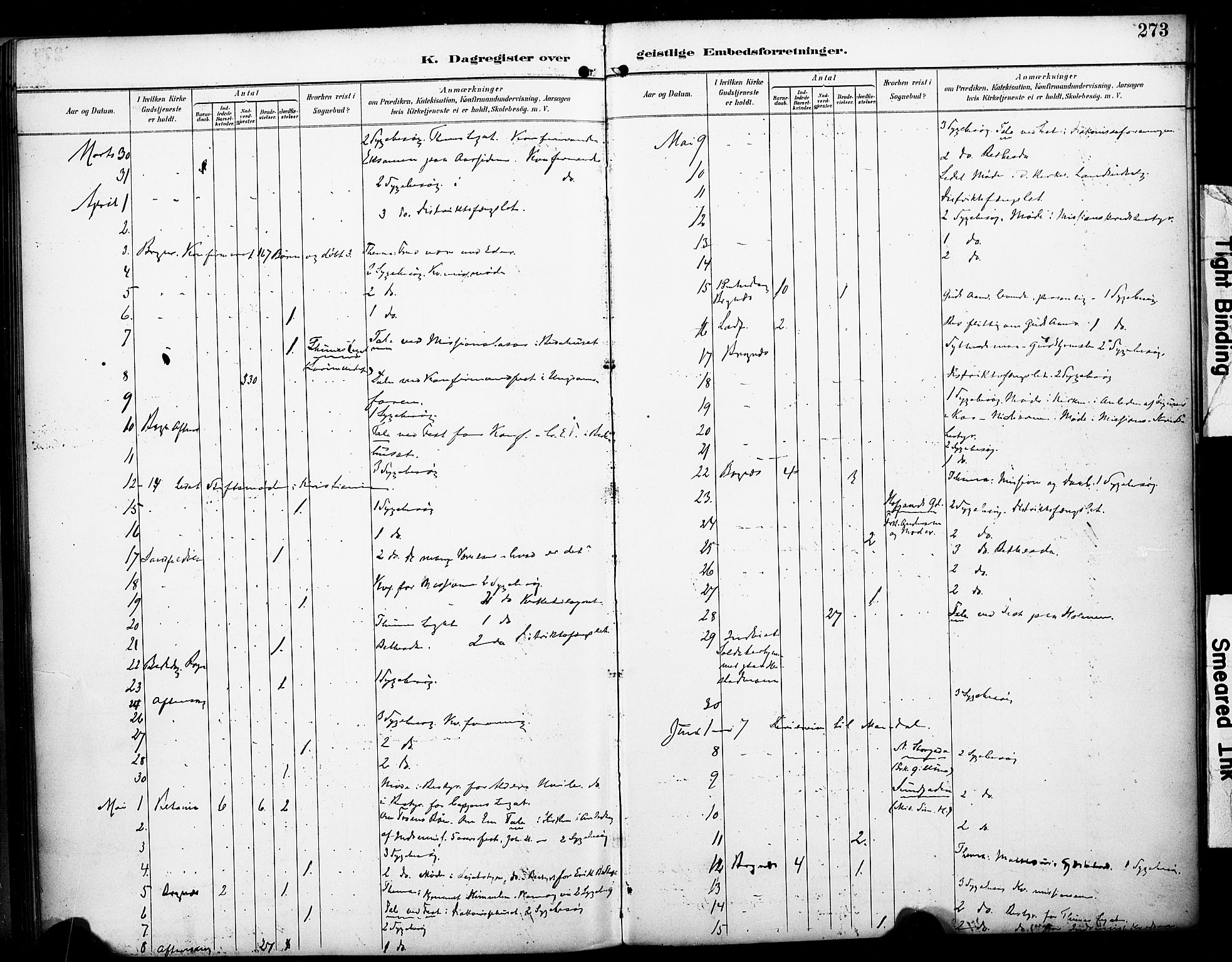 Bragernes kirkebøker, AV/SAKO-A-6/F/Fc/L0006: Parish register (official) no. III 6, 1888-1899, p. 273