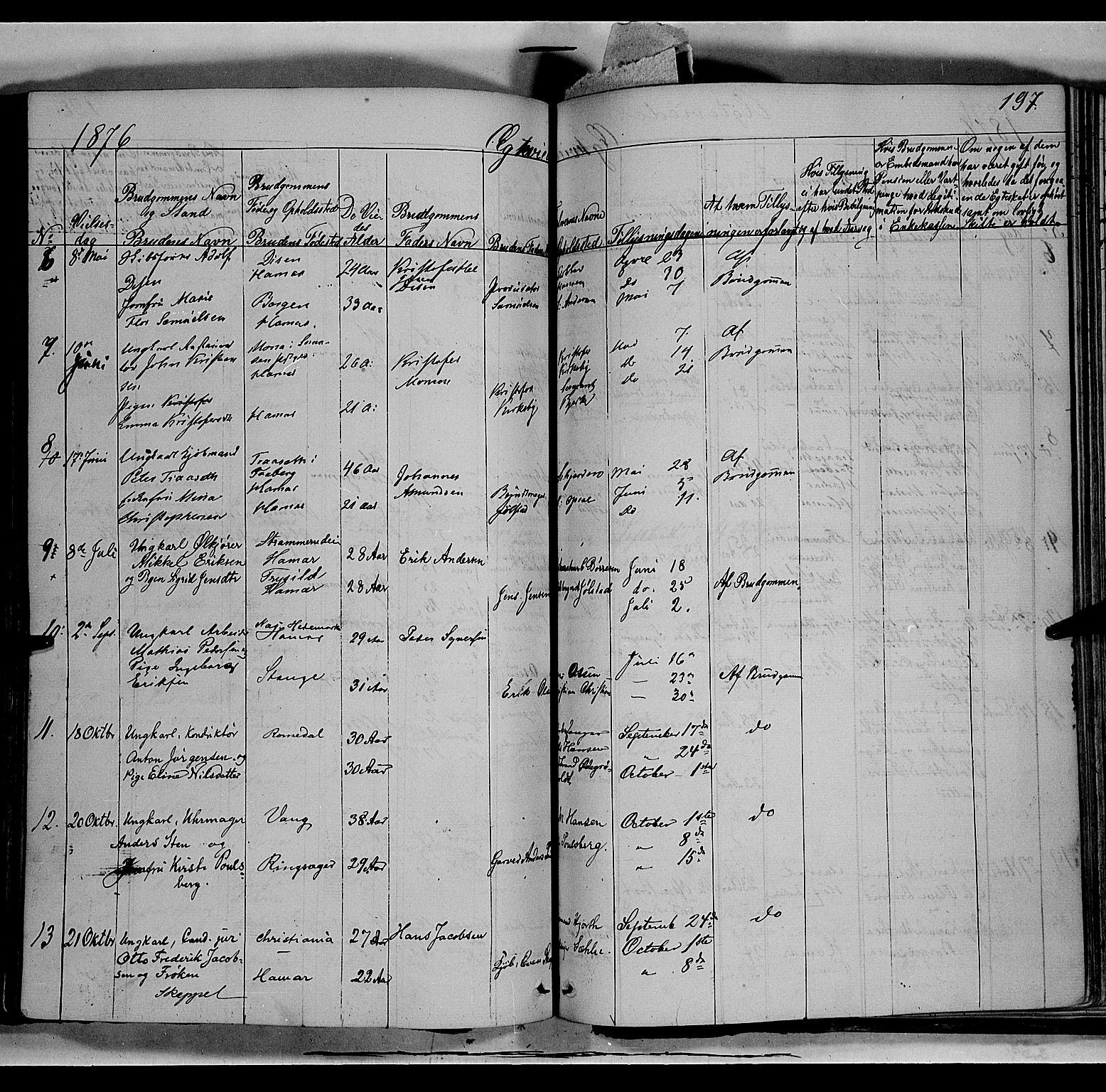 Vang prestekontor, Hedmark, AV/SAH-PREST-008/H/Ha/Haa/L0011: Parish register (official) no. 11, 1852-1877, p. 197