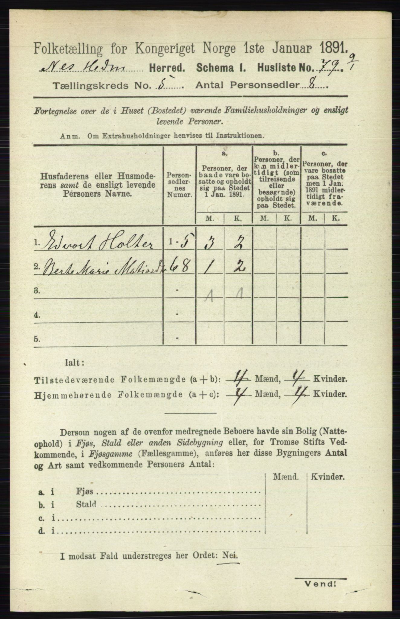 RA, 1891 census for 0411 Nes, 1891, p. 2599