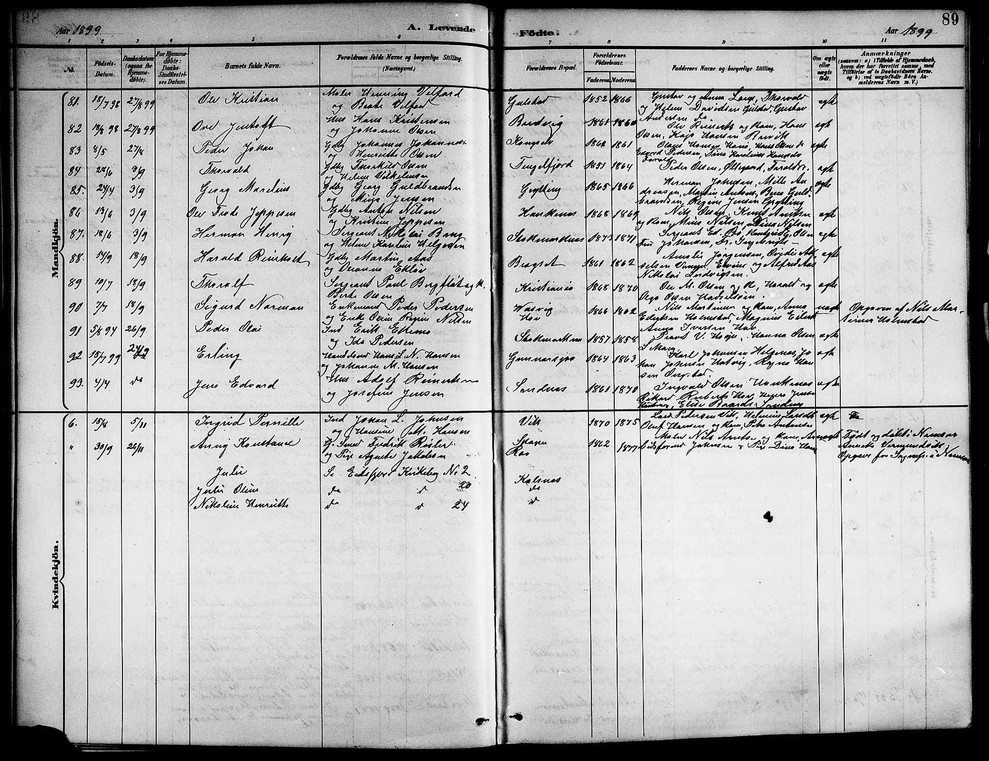 Ministerialprotokoller, klokkerbøker og fødselsregistre - Nordland, AV/SAT-A-1459/888/L1268: Parish register (copy) no. 888C06, 1891-1908, p. 89