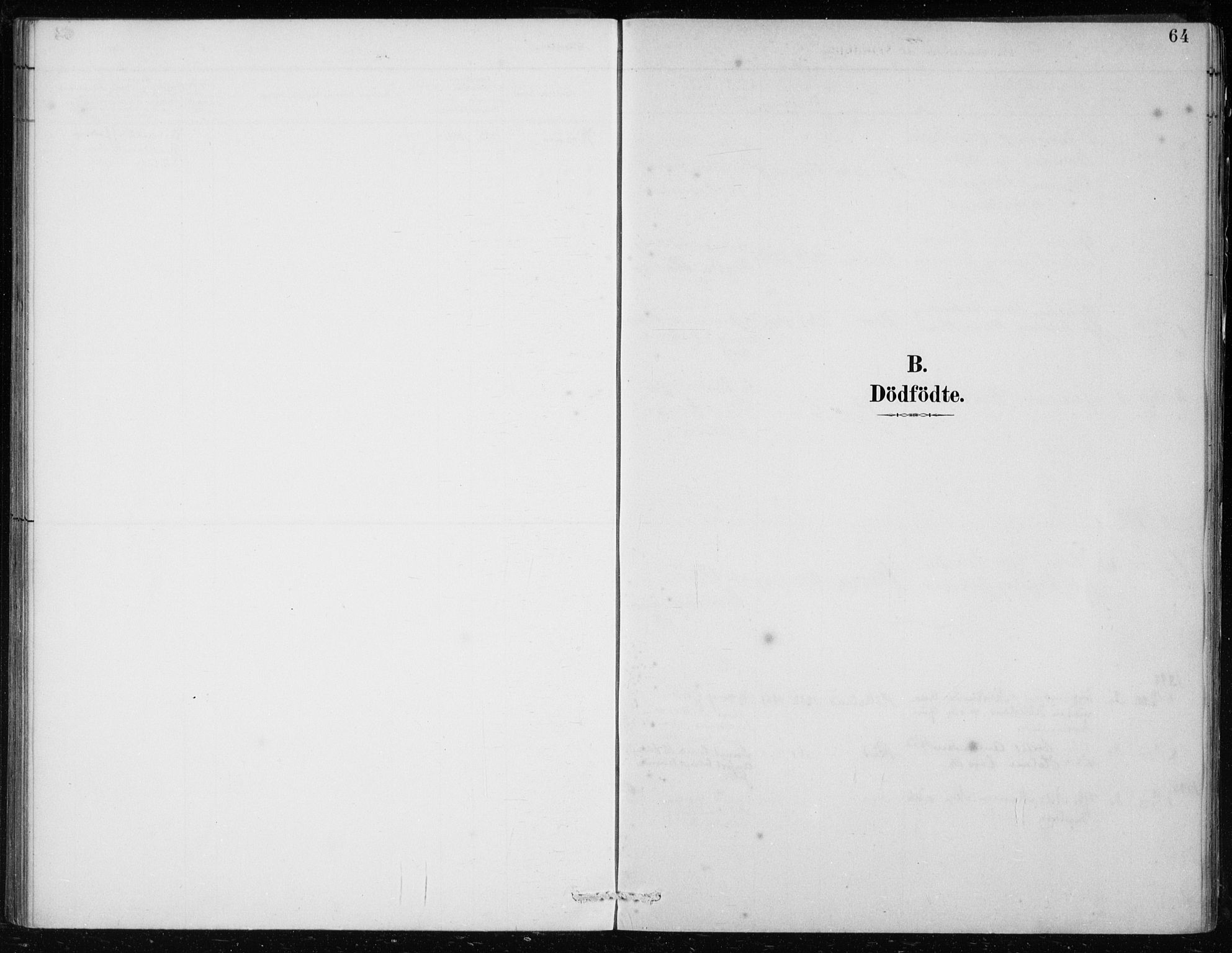 Lindås Sokneprestembete, SAB/A-76701/H/Haa: Parish register (official) no. F  1, 1886-1897, p. 64