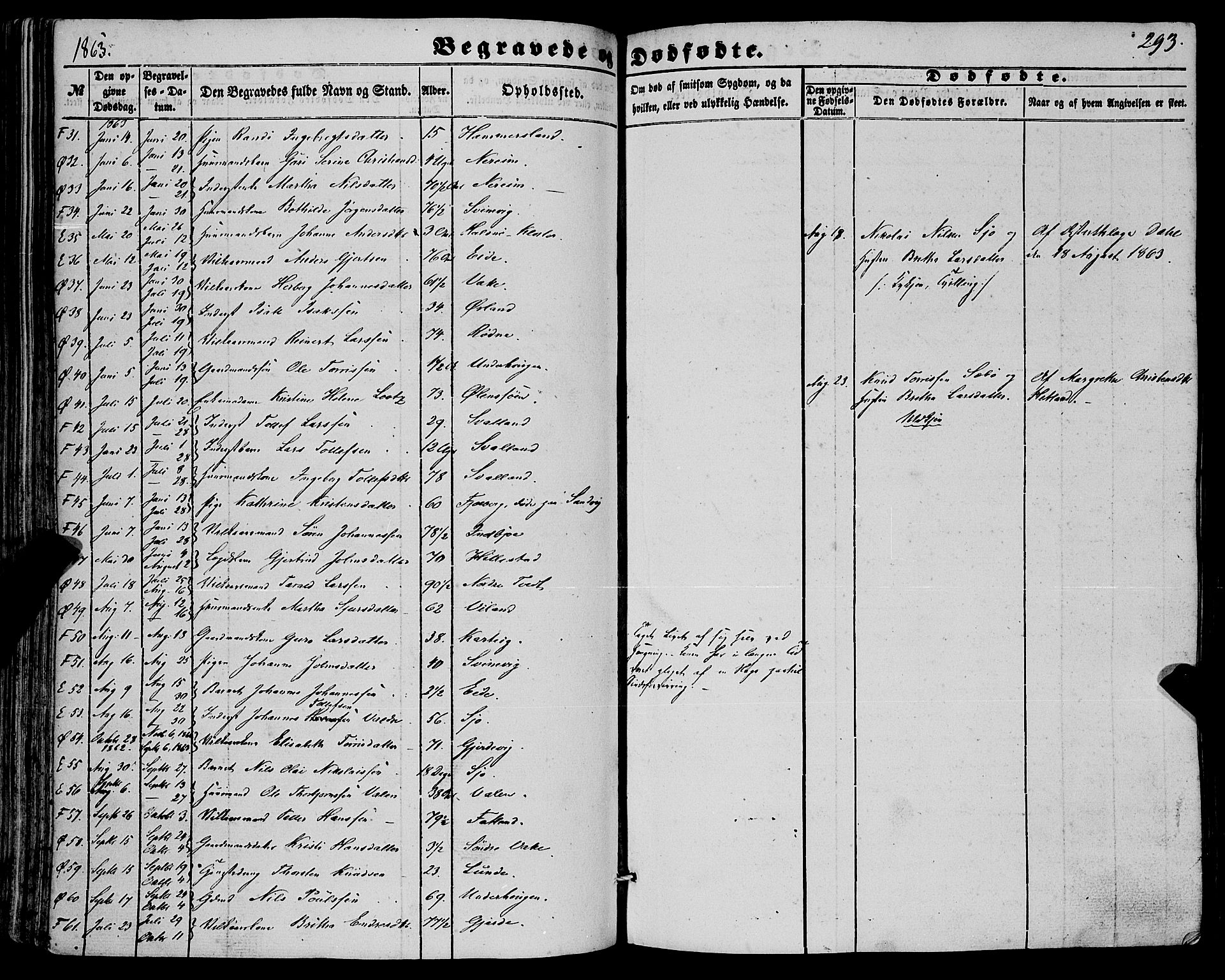 Fjelberg sokneprestembete, SAB/A-75201/H/Haa: Parish register (official) no. A 7, 1851-1867, p. 293