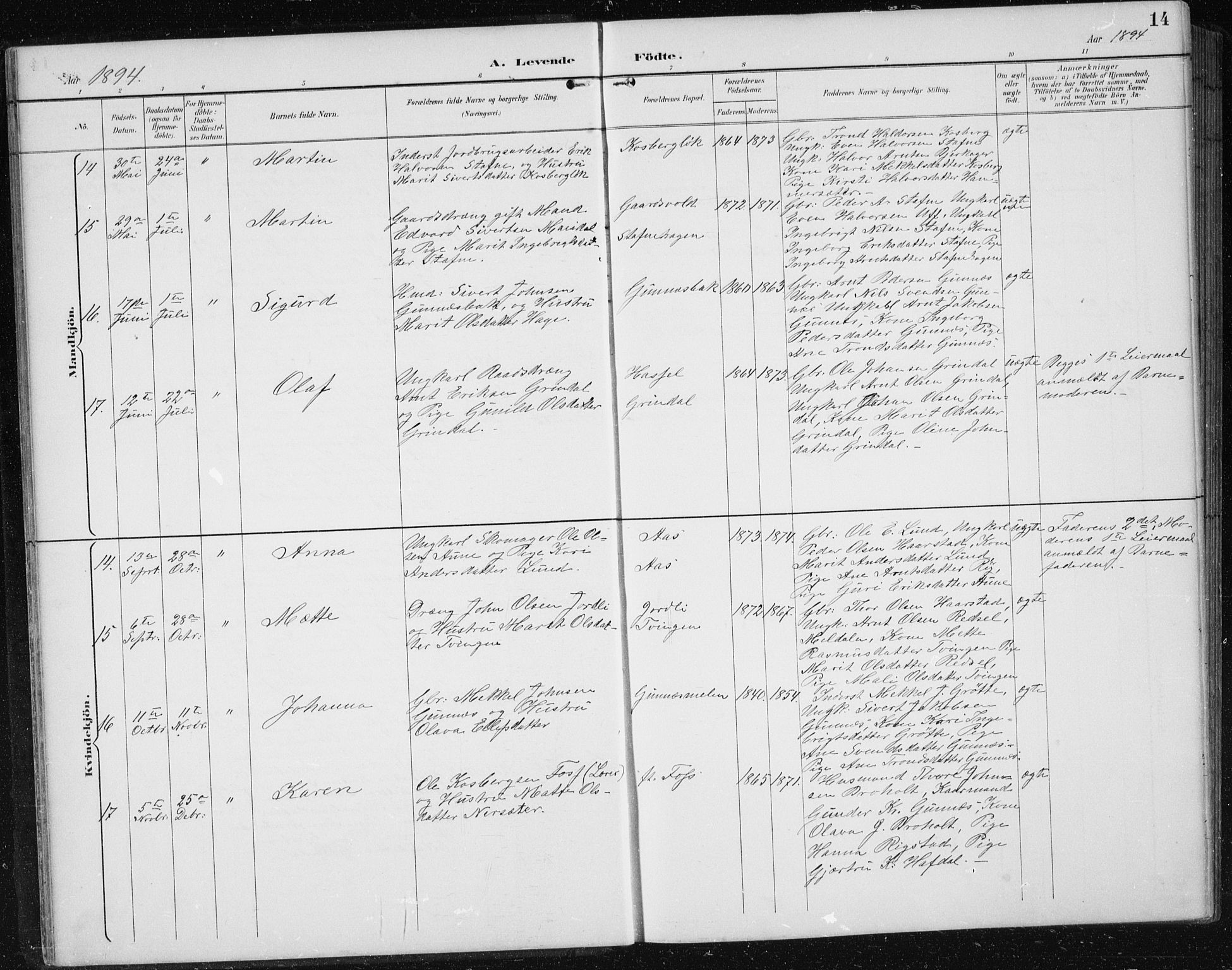 Ministerialprotokoller, klokkerbøker og fødselsregistre - Sør-Trøndelag, AV/SAT-A-1456/674/L0876: Parish register (copy) no. 674C03, 1892-1912, p. 14