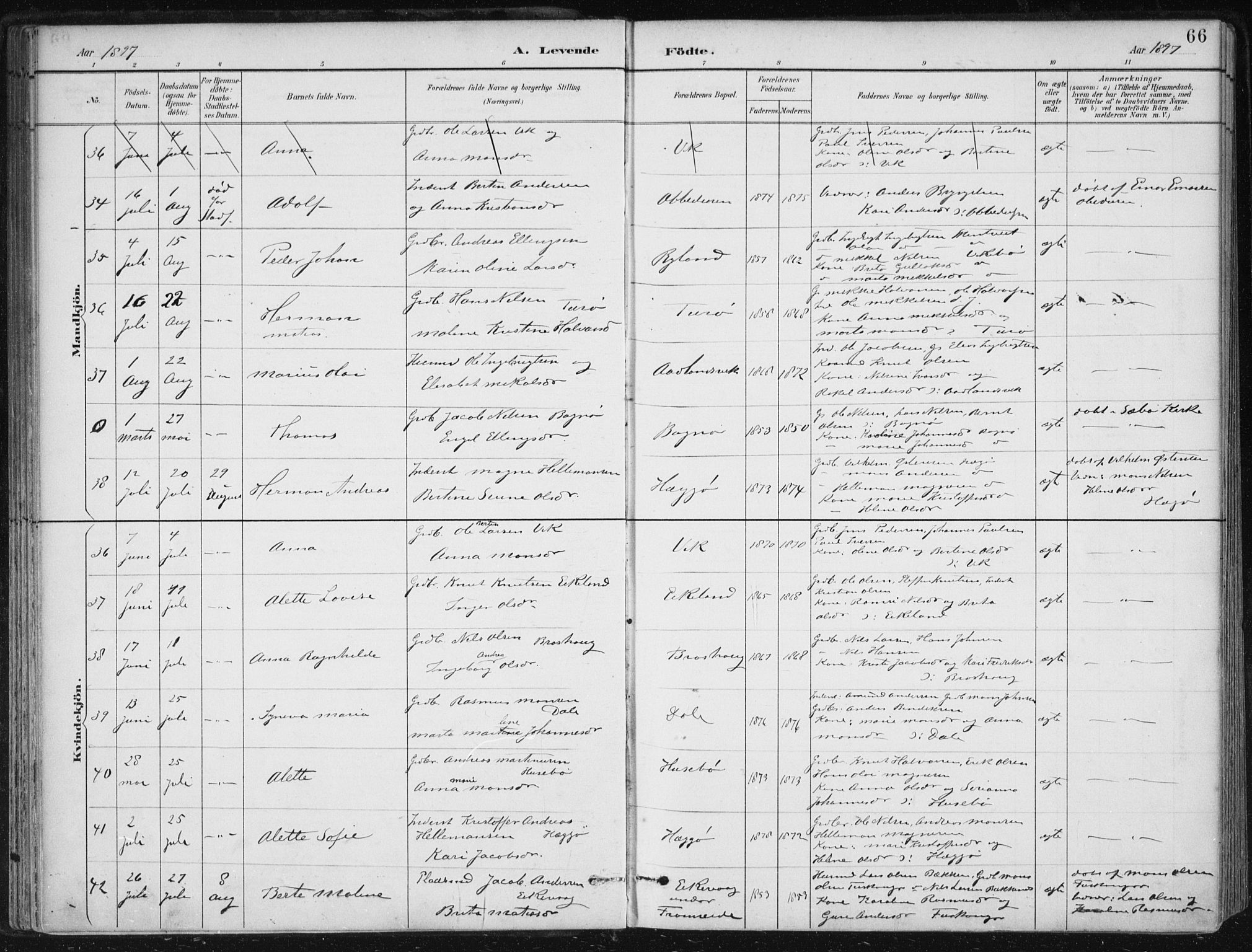 Herdla Sokneprestembete, AV/SAB-A-75701/H/Haa: Parish register (official) no. A 4, 1891-1905, p. 66