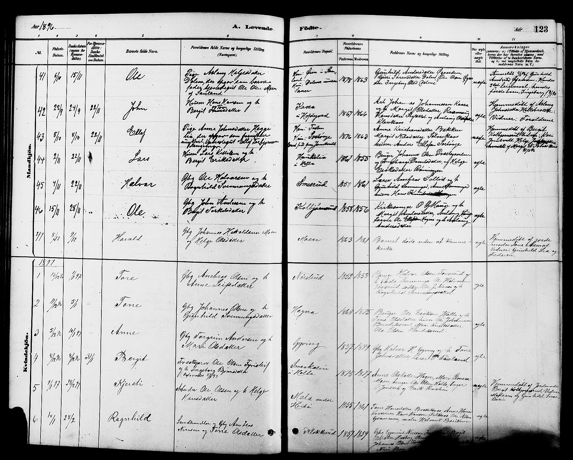 Heddal kirkebøker, SAKO/A-268/G/Ga/L0002: Parish register (copy) no. I 2, 1879-1908, p. 123