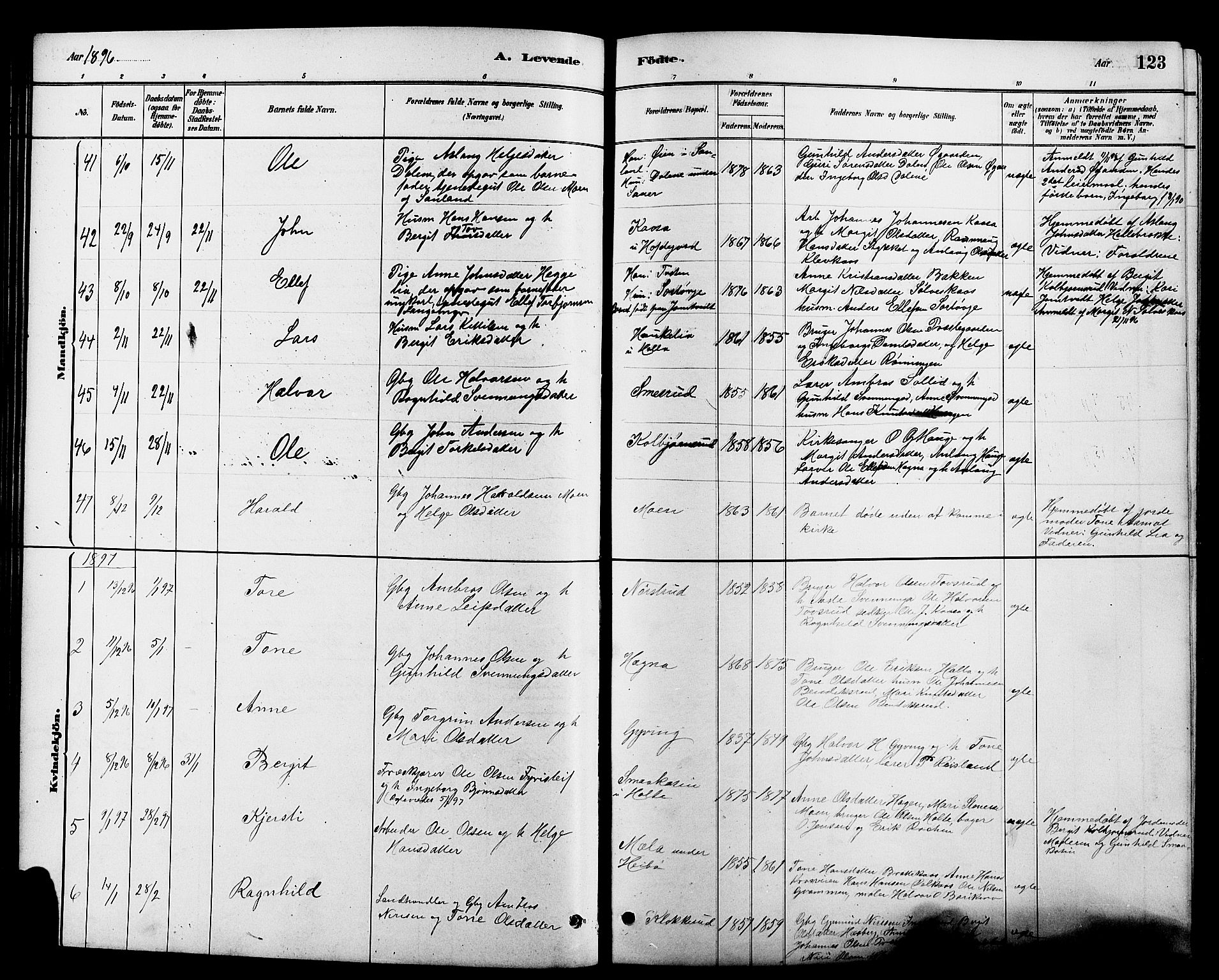 Heddal kirkebøker, AV/SAKO-A-268/G/Ga/L0002: Parish register (copy) no. I 2, 1879-1908, p. 123