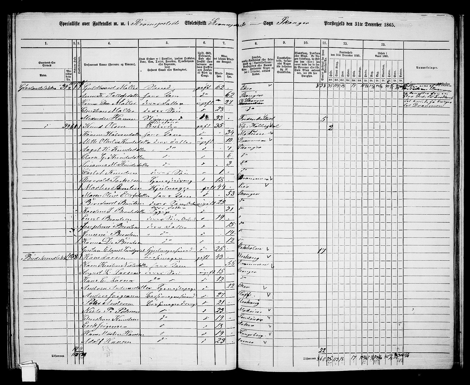 RA, 1865 census for Skoger, 1865, p. 145