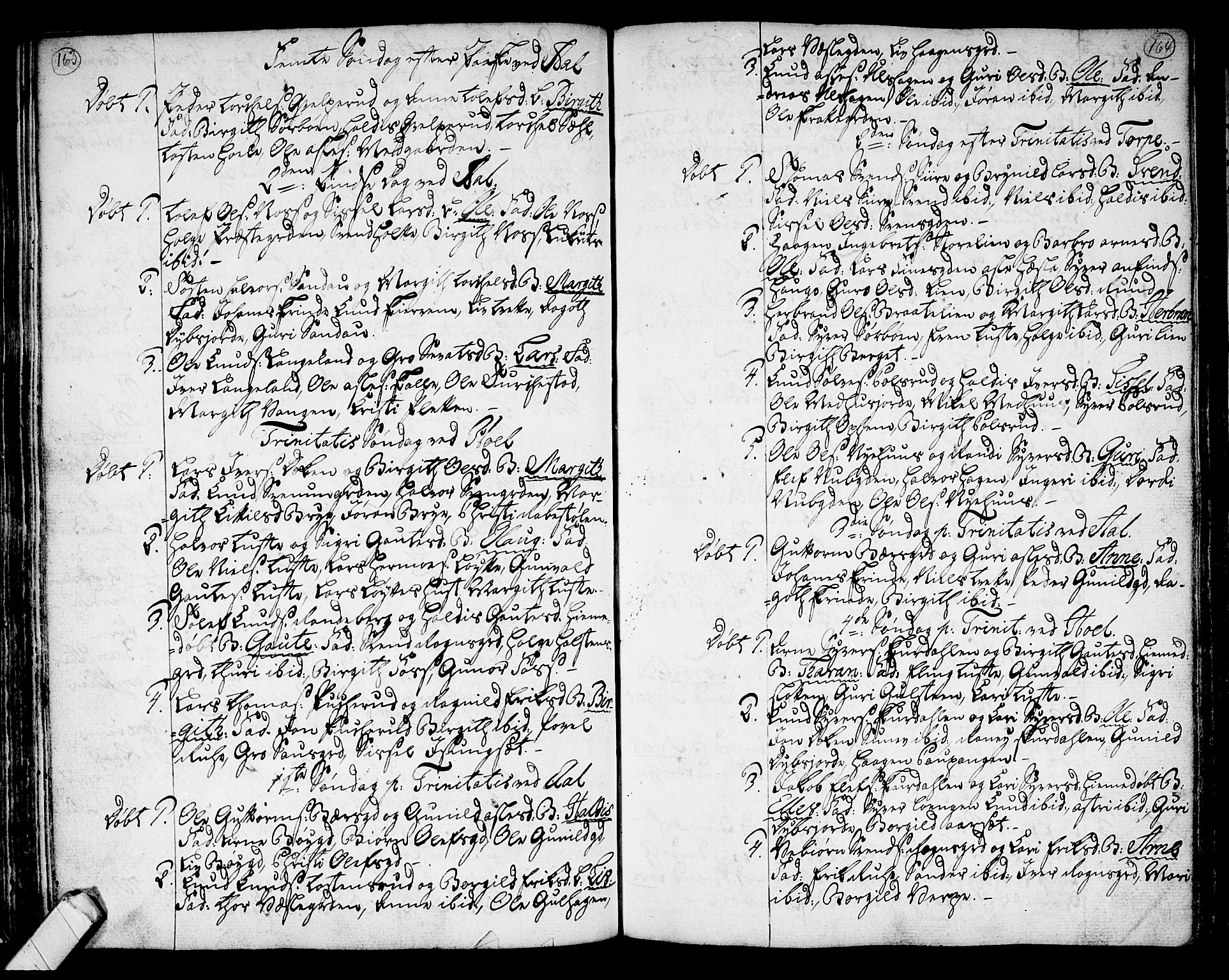 Ål kirkebøker, SAKO/A-249/F/Fa/L0002: Parish register (official) no. I 2, 1771-1806, p. 163-164