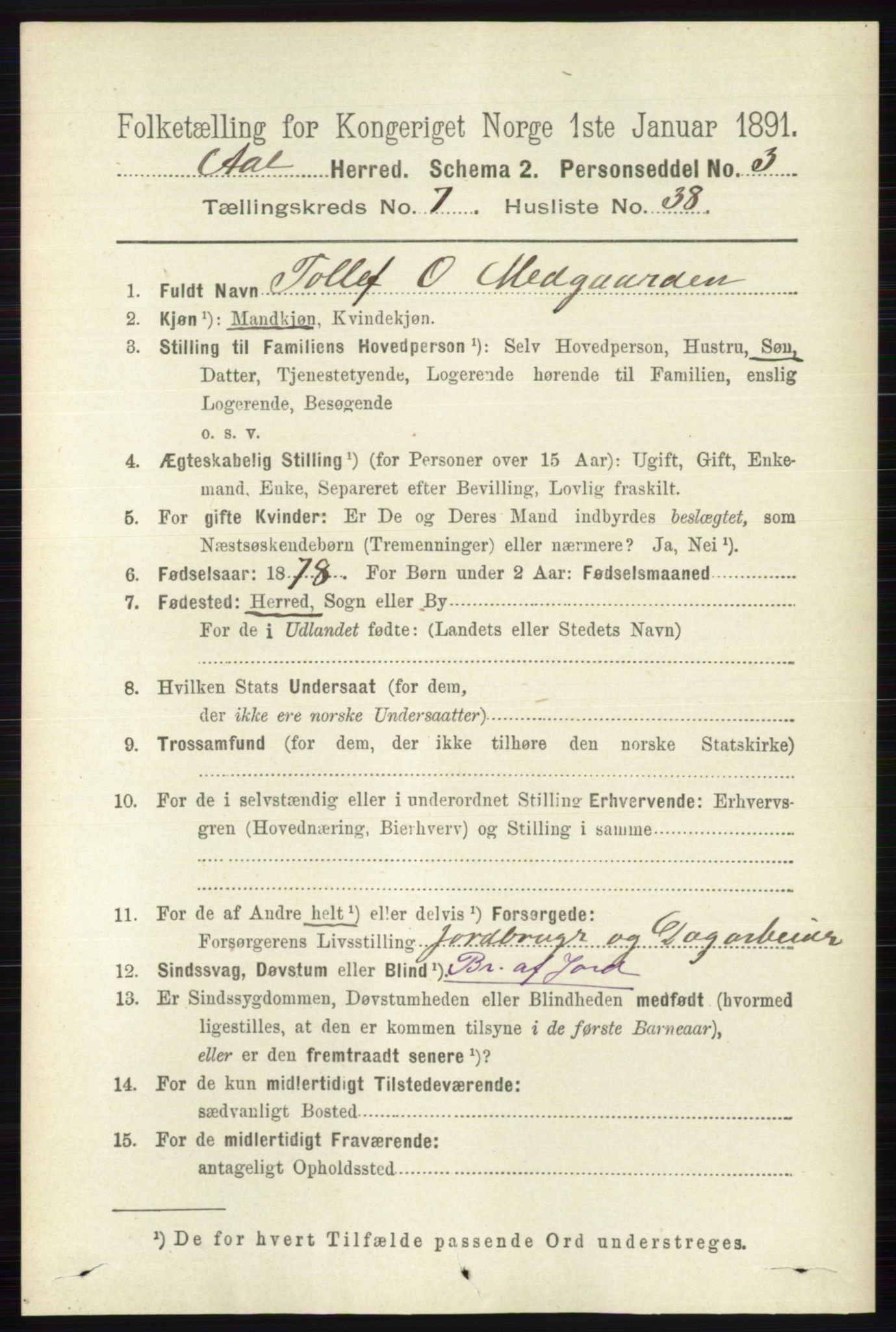 RA, 1891 census for 0619 Ål, 1891, p. 1992