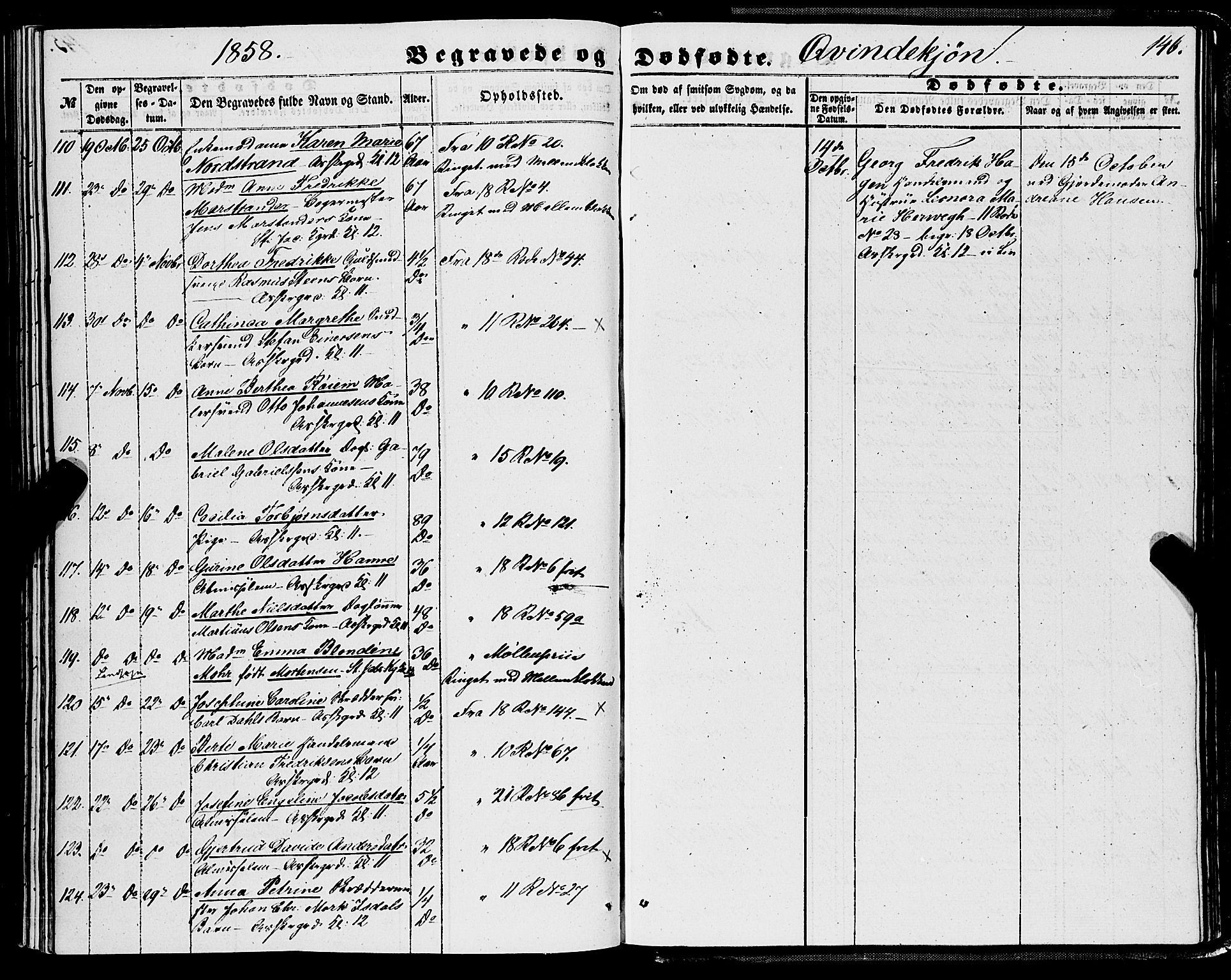Domkirken sokneprestembete, SAB/A-74801/H/Haa/L0041: Parish register (official) no. E 2, 1853-1863, p. 146