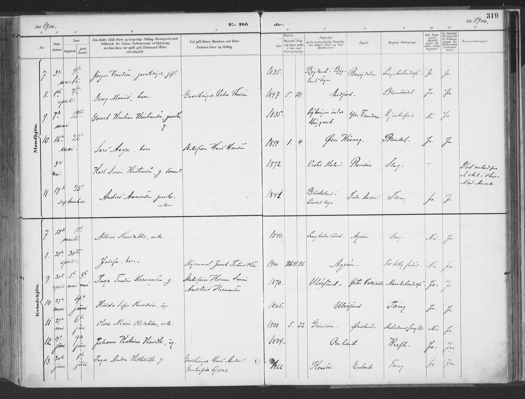 Høvåg sokneprestkontor, SAK/1111-0025/F/Fa/L0006: Parish register (official) no. A 6, 1894-1923, p. 319