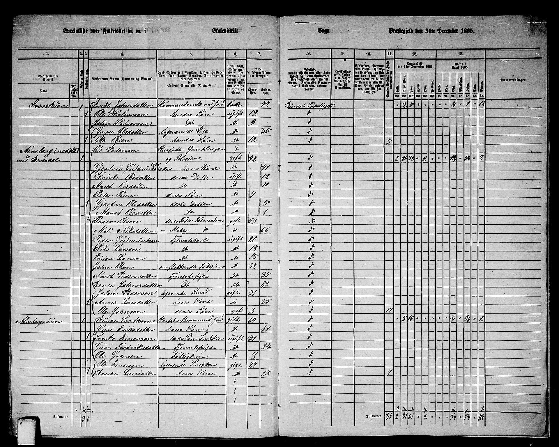 RA, 1865 census for Rindal, 1865, p. 107