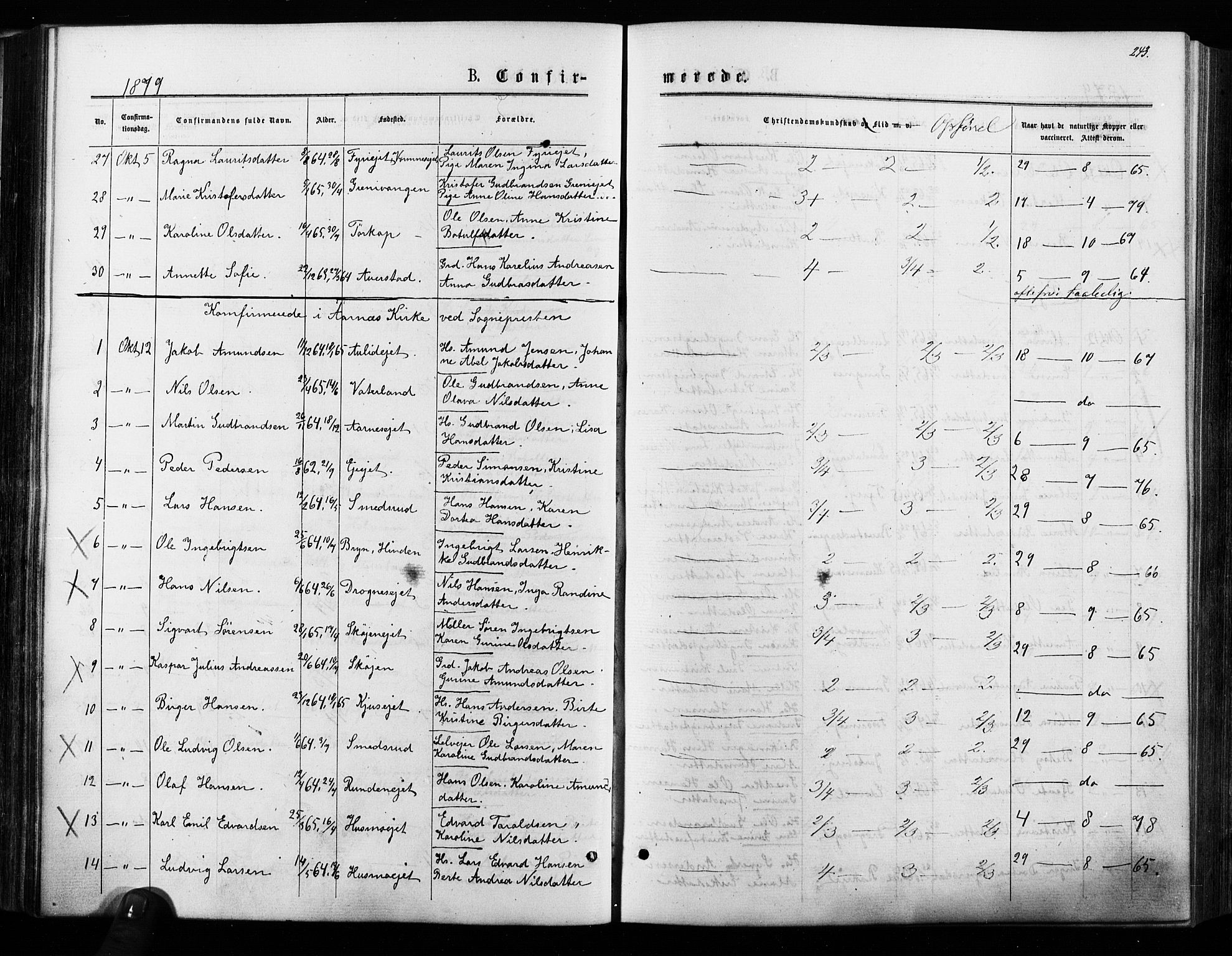 Nes prestekontor Kirkebøker, AV/SAO-A-10410/F/Fa/L0009: Parish register (official) no. I 9, 1875-1882, p. 243